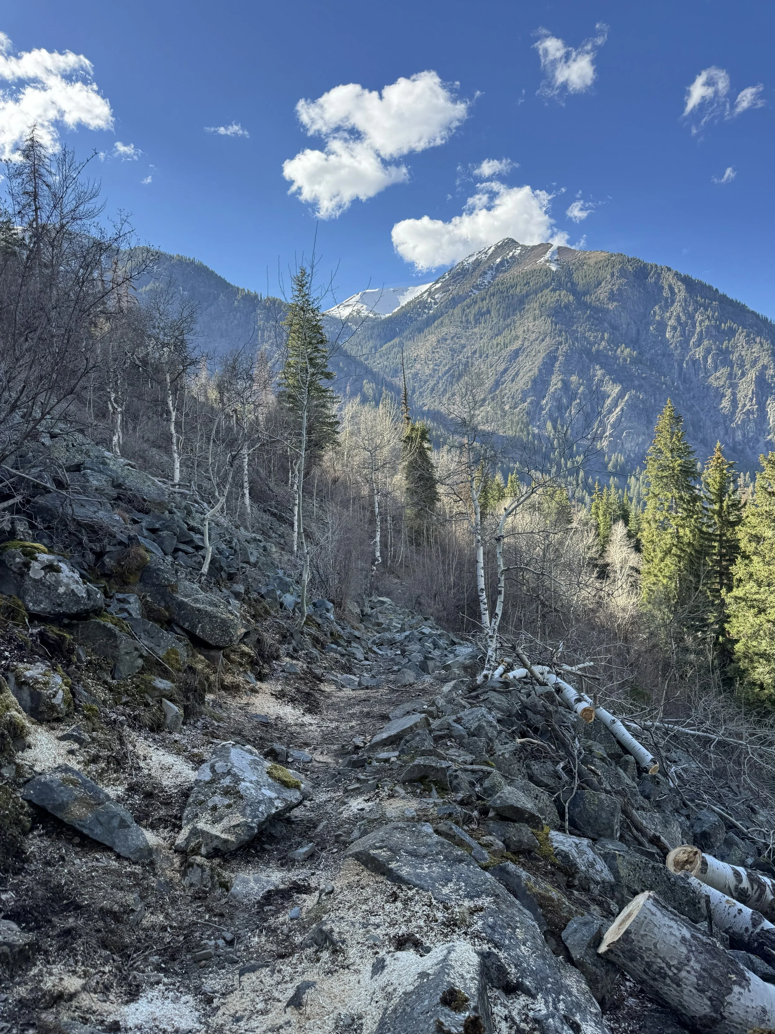 Wilderness First Aid Training (Non-Refundable)