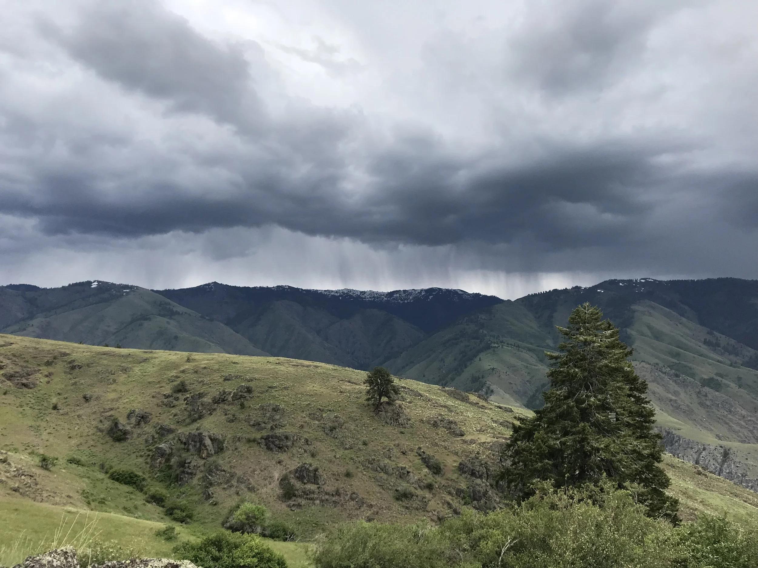 Copy of IMG_4997.jpeg