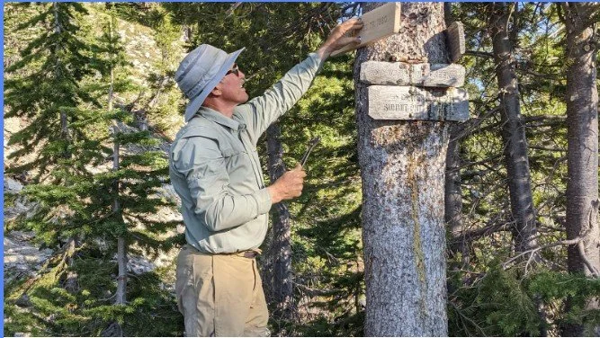 A person in outdoor gear, wearing a hat and sunglasses, attaching a wood sign to a tree in a forest.