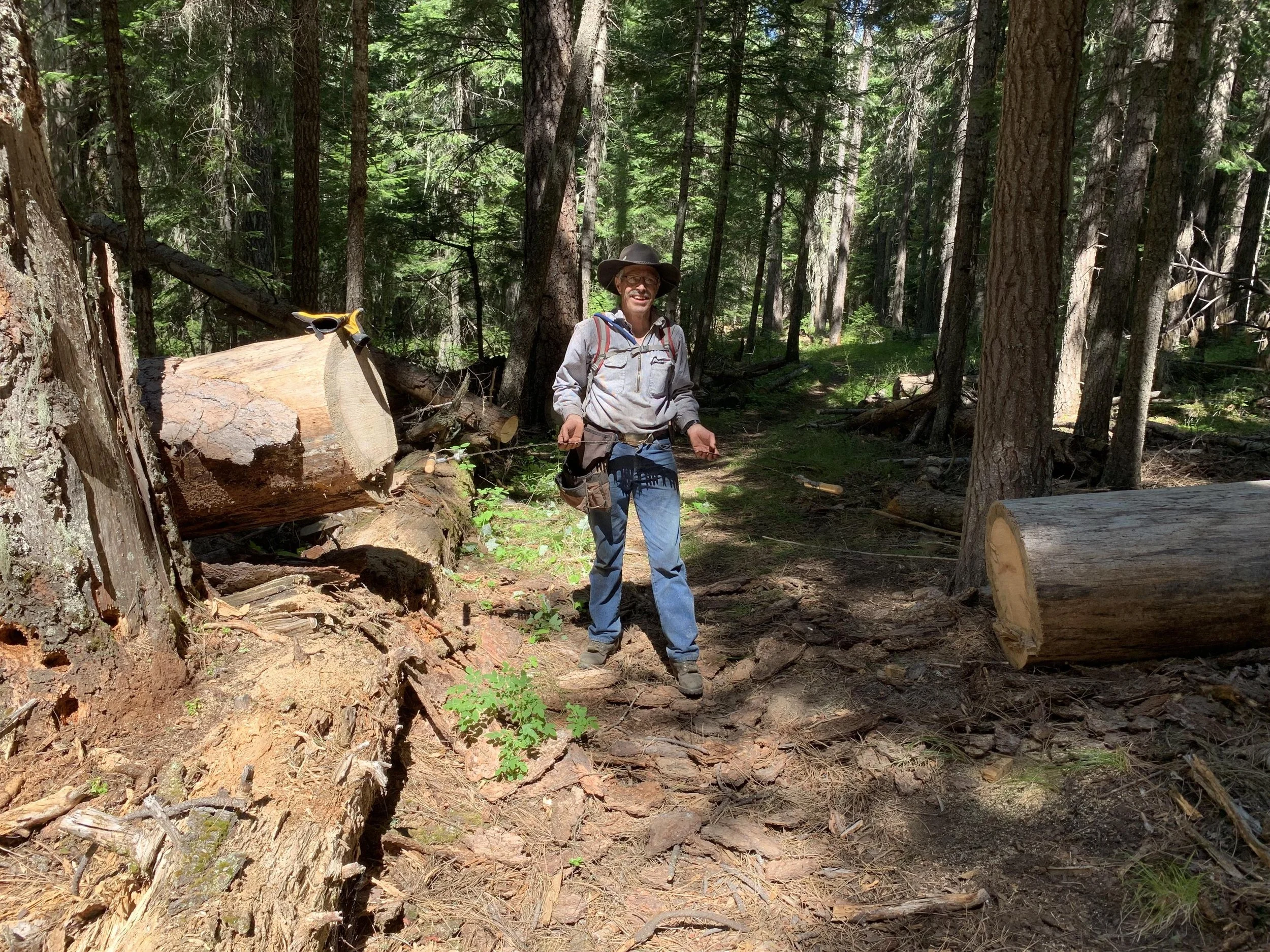 A person wearing a wide-brimmed hat, glasses, gray jacket, and blue jeans stands on a forest trail surrounded by tall trees and fallen logs.