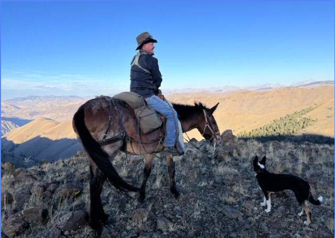 Man riding a horse in a mountainous landscape with a dog nearby.