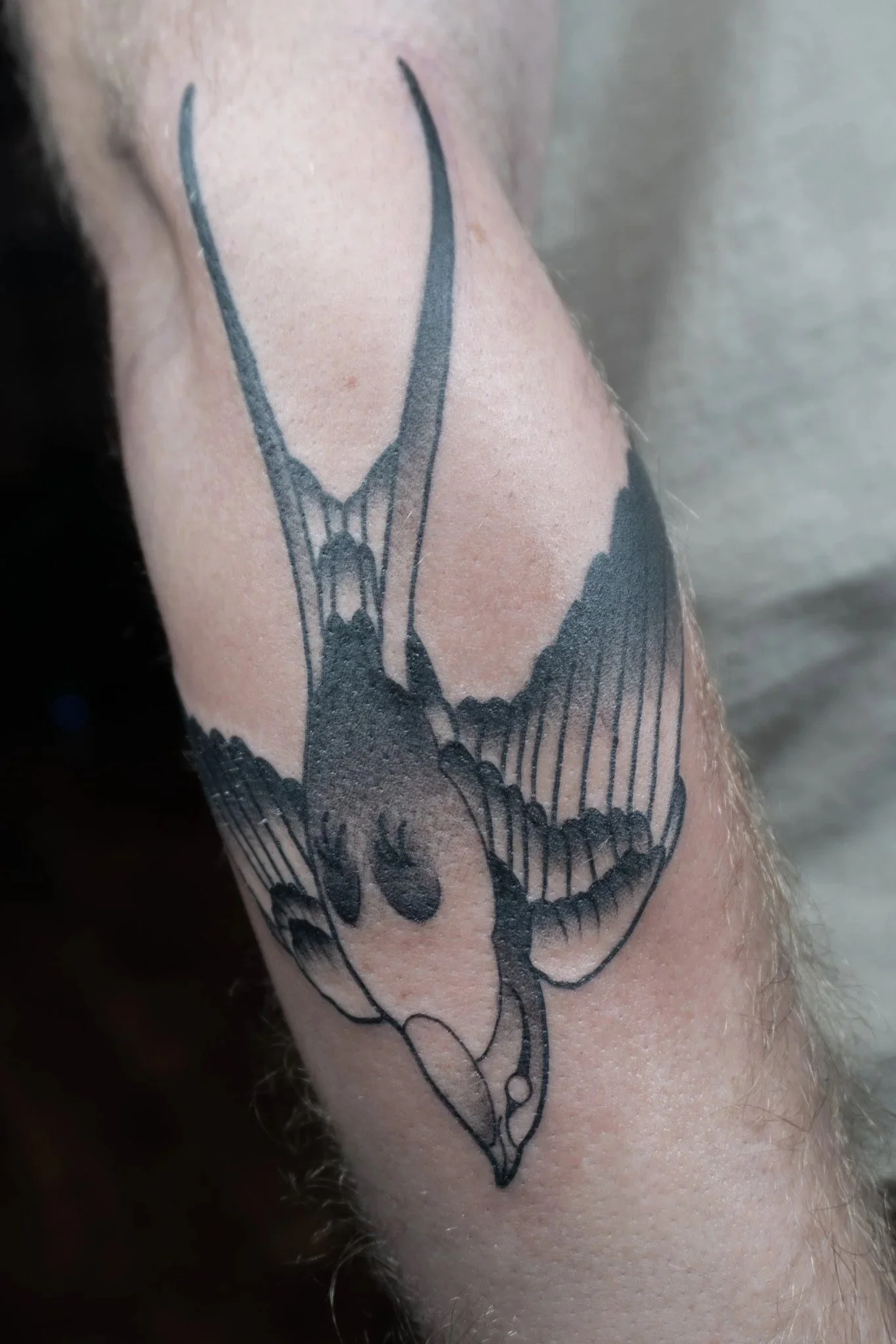 Tattoo of a stylized insect, possibly a dragonfly or damselfly, in black ink on a person's arm.