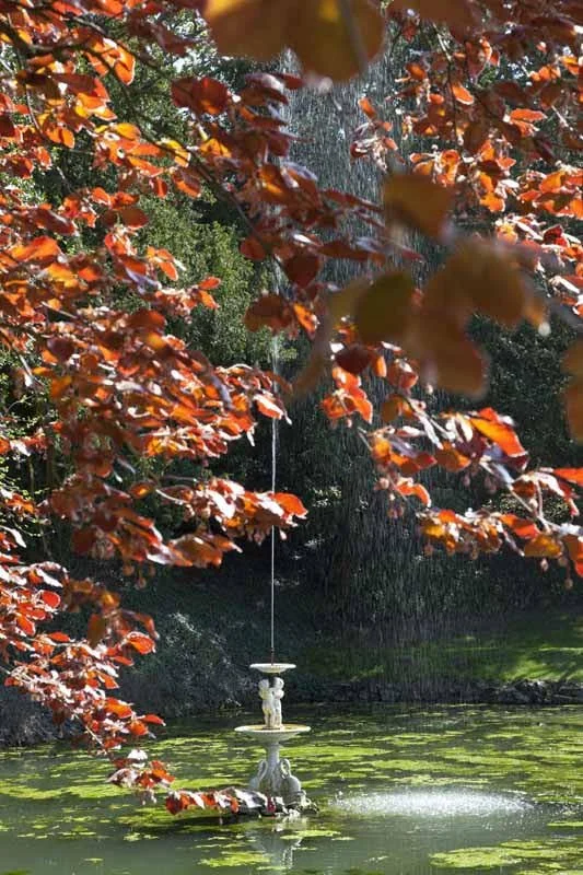 Barton_Court_036 - Copy.jpg