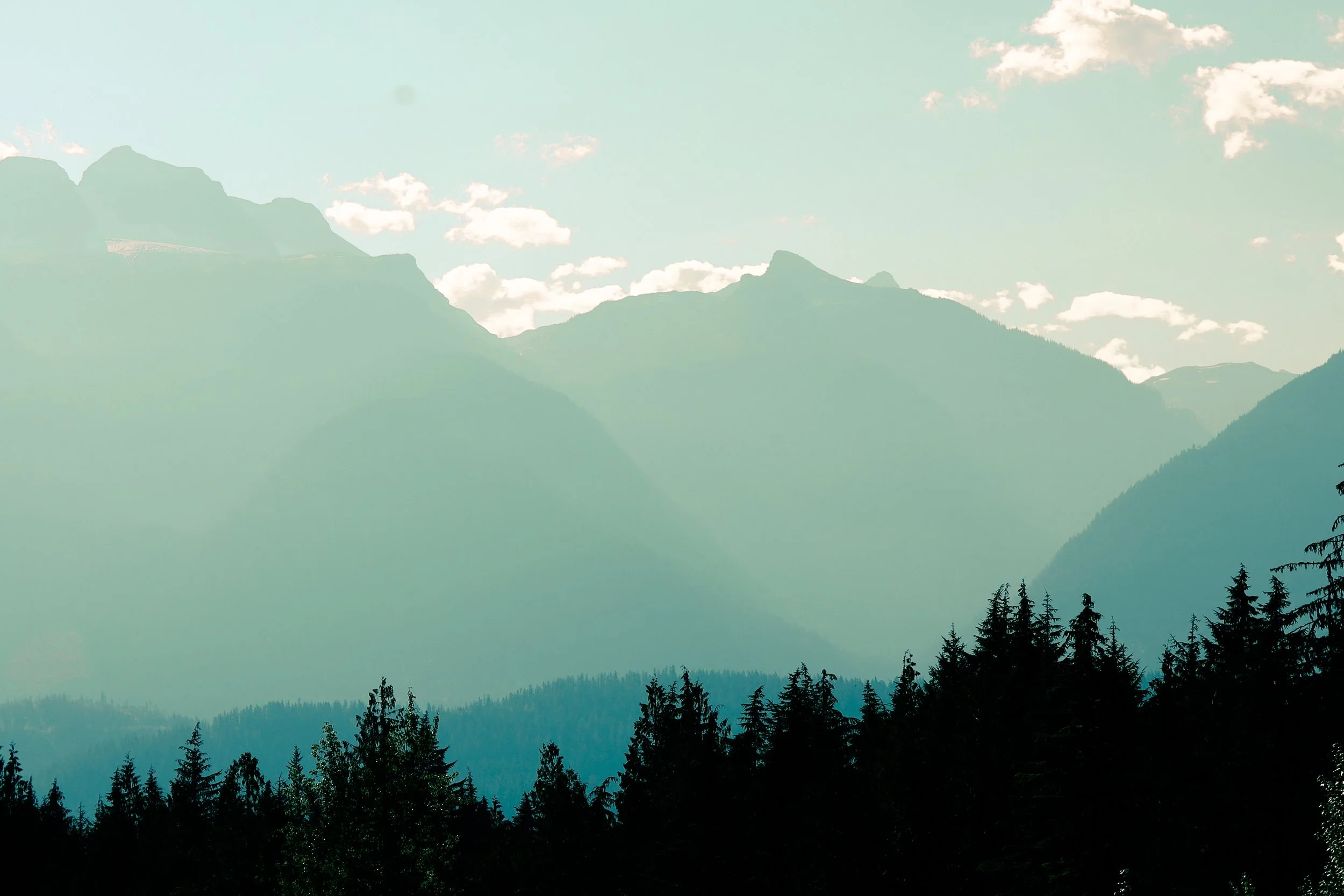 Silhouettes of pine trees in the foreground with misty mountains and a partly cloudy sky in the background.