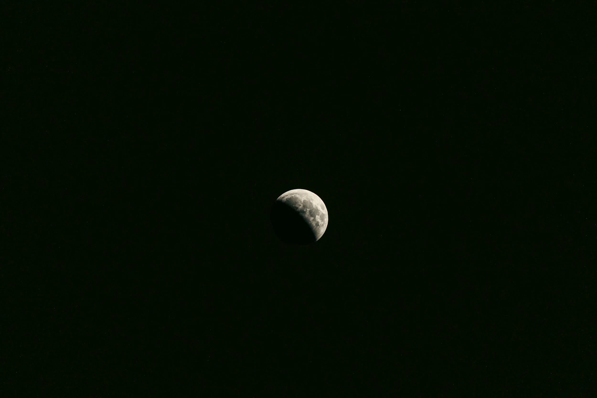_47A0090.jpg