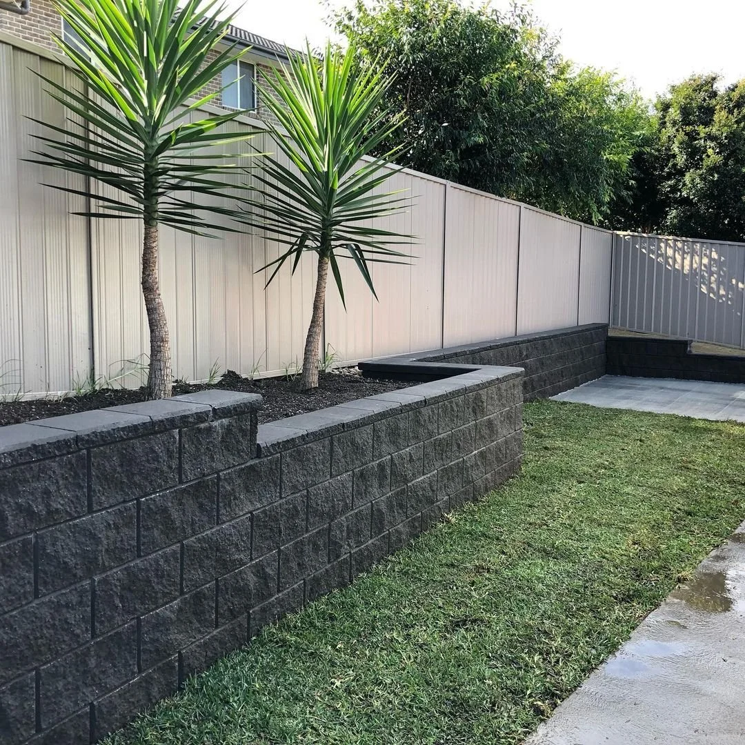 Backyard with a raised garden bed containing two small palm trees, surrounded by a beige fence, with a lawn and a small paved area.