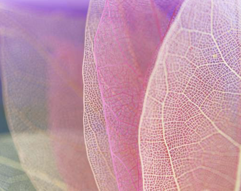 Holding Your Business in Integrity: Terms, Privacy and Trust