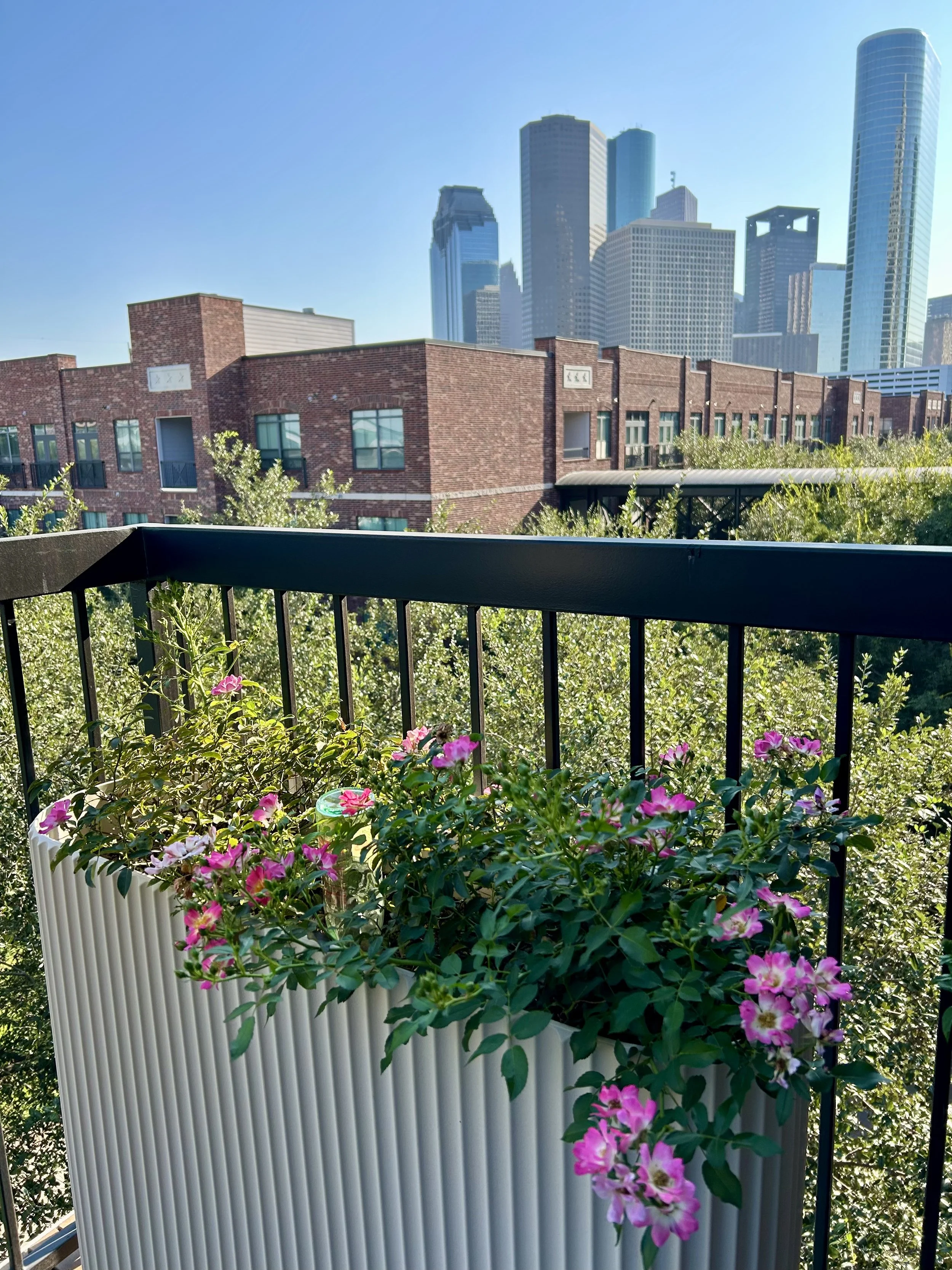 A balcony with pink flowers in a white planter, overlooking a cityscape with modern skyscrapers and an old brick building, under a clear blue sky.