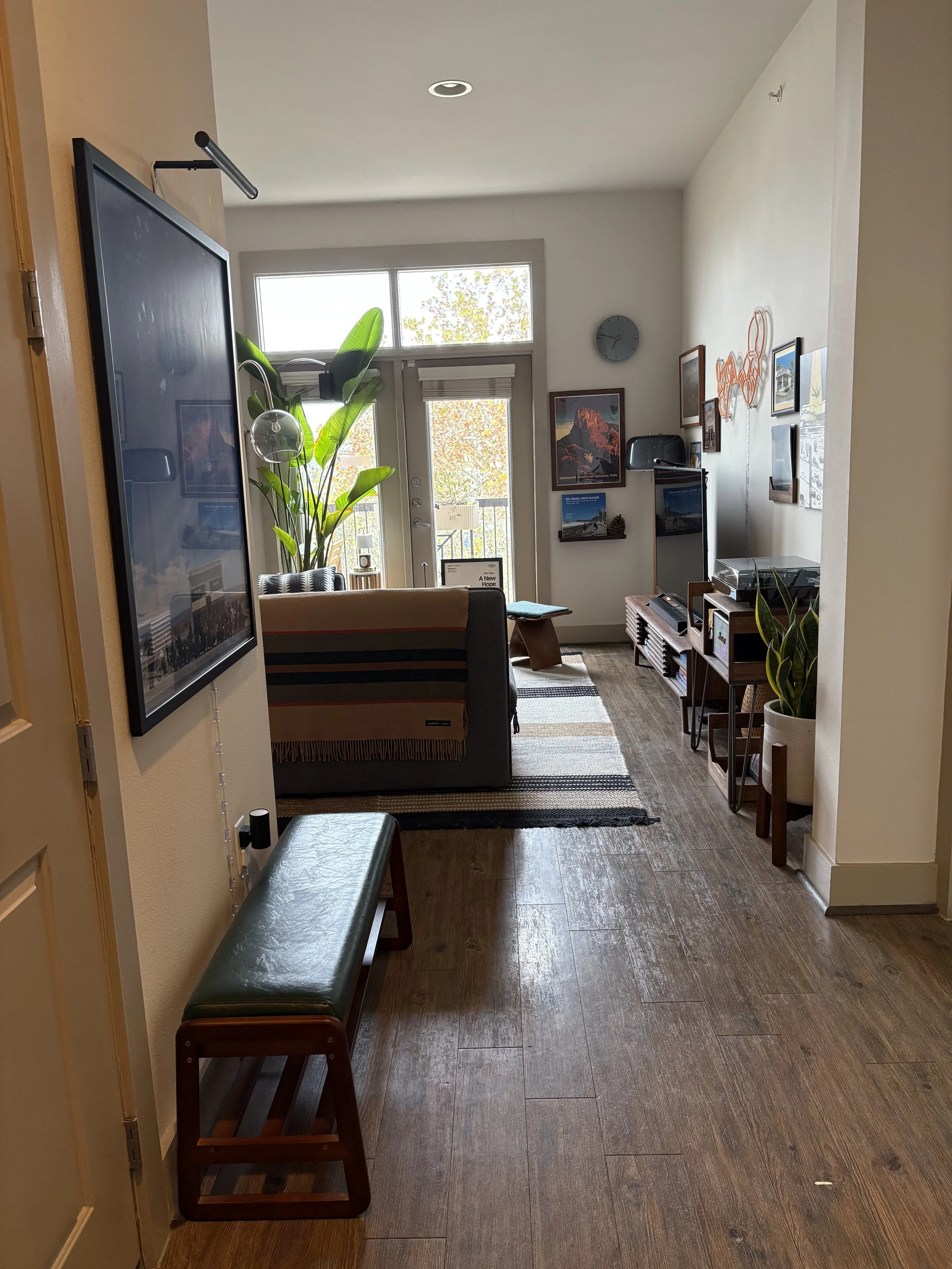 Living room with a front door leading to a balcony, a large plant near the door, a black TV, a gray sofa, a patterned rug, wall art, and indoor plants.
