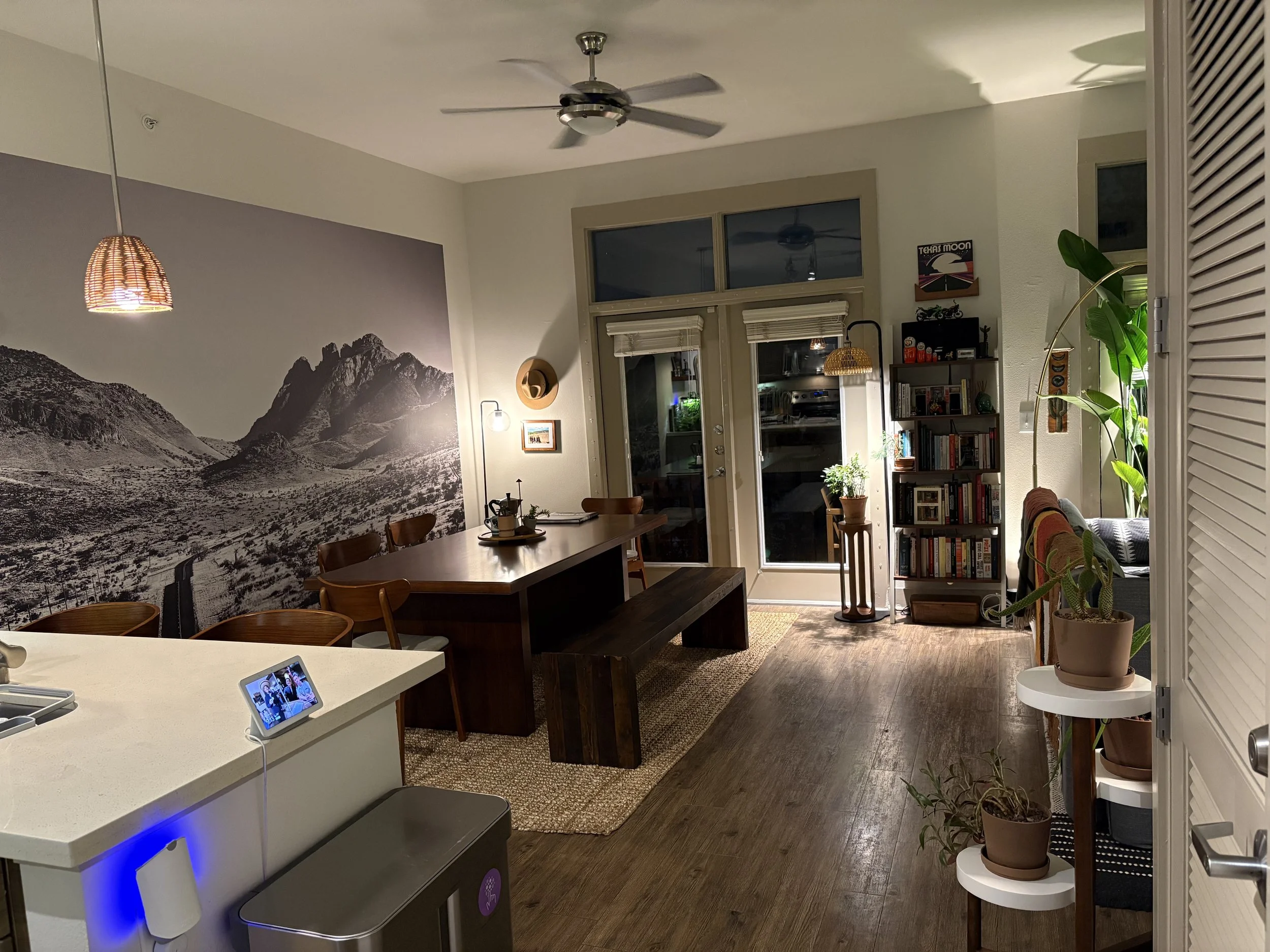 A cozy living and dining area with a large black and white mountain mural on the wall, a wooden dining table with chairs, a bookshelf, potted plants, and a balcony door at night.