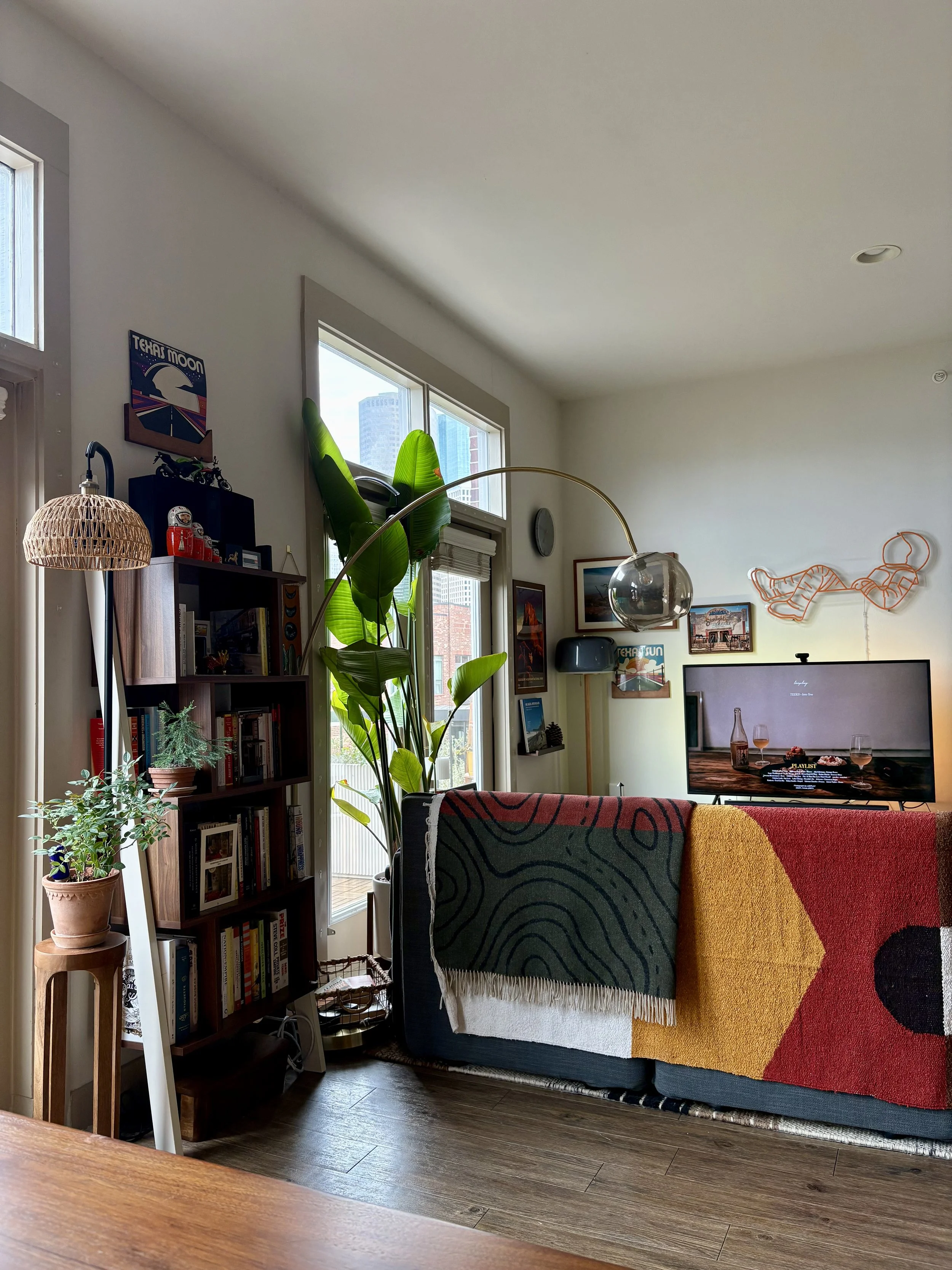 Living room with large green plant by window, bookshelf, flat-screen TV, decorative blanket, and artwork on walls.