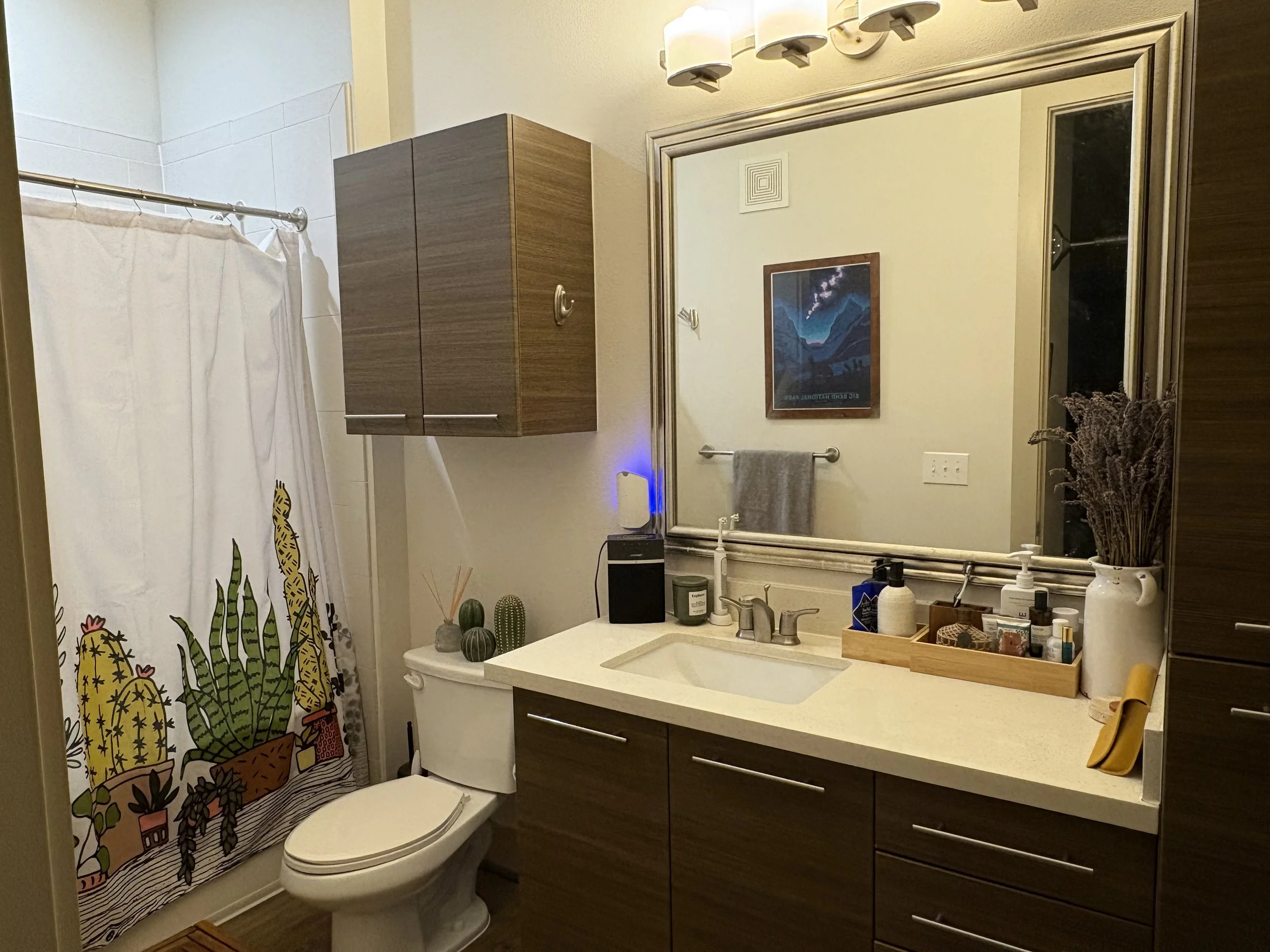 Modern bathroom with a large mirror, wooden cabinets, a white sink, and a colorful cactus-themed shower curtain.