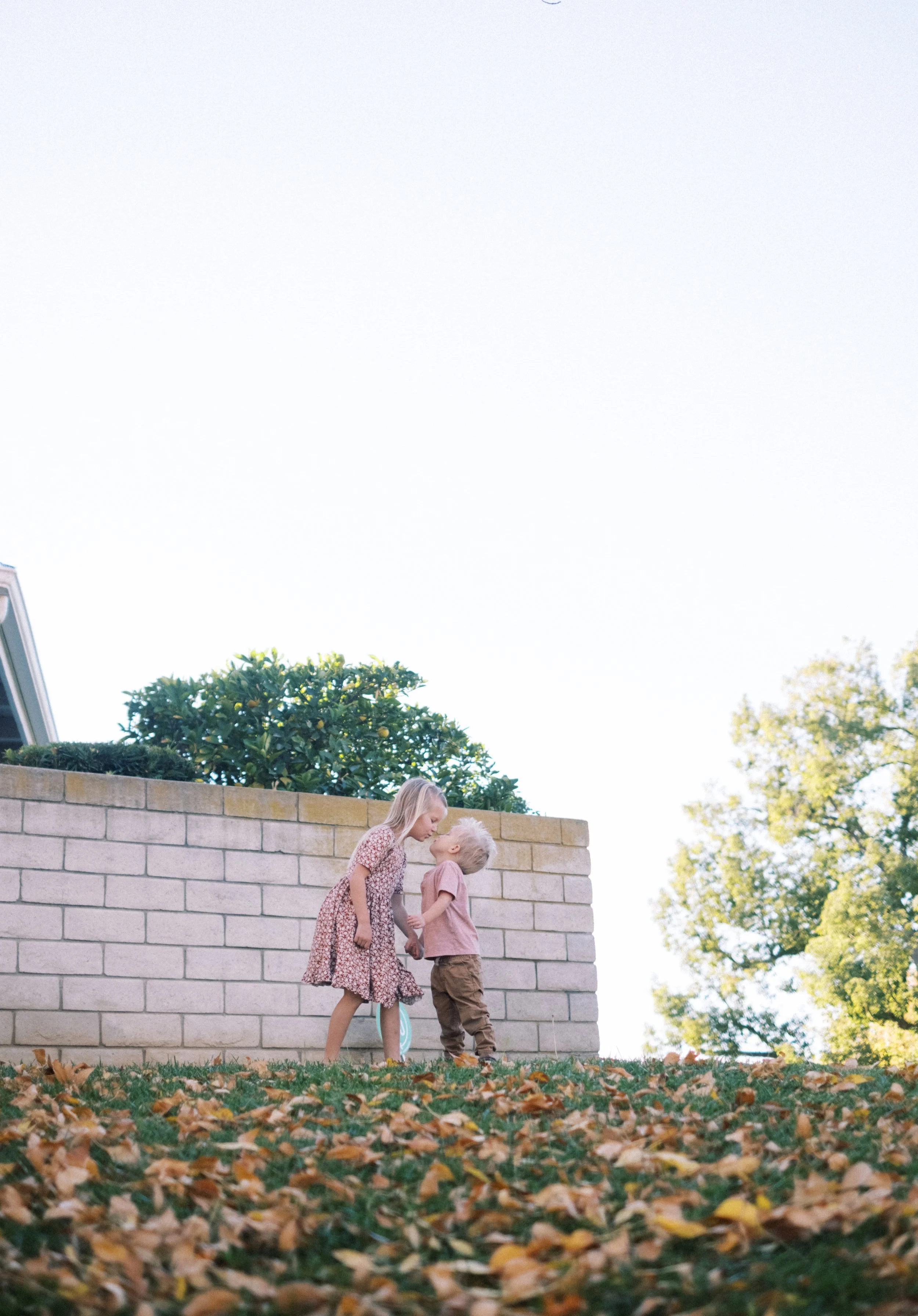 Two children, a girl and a boy, sharing a kiss outdoors in a backyard, with fallen leaves on the grass and a brick wall with greenery in the background.
