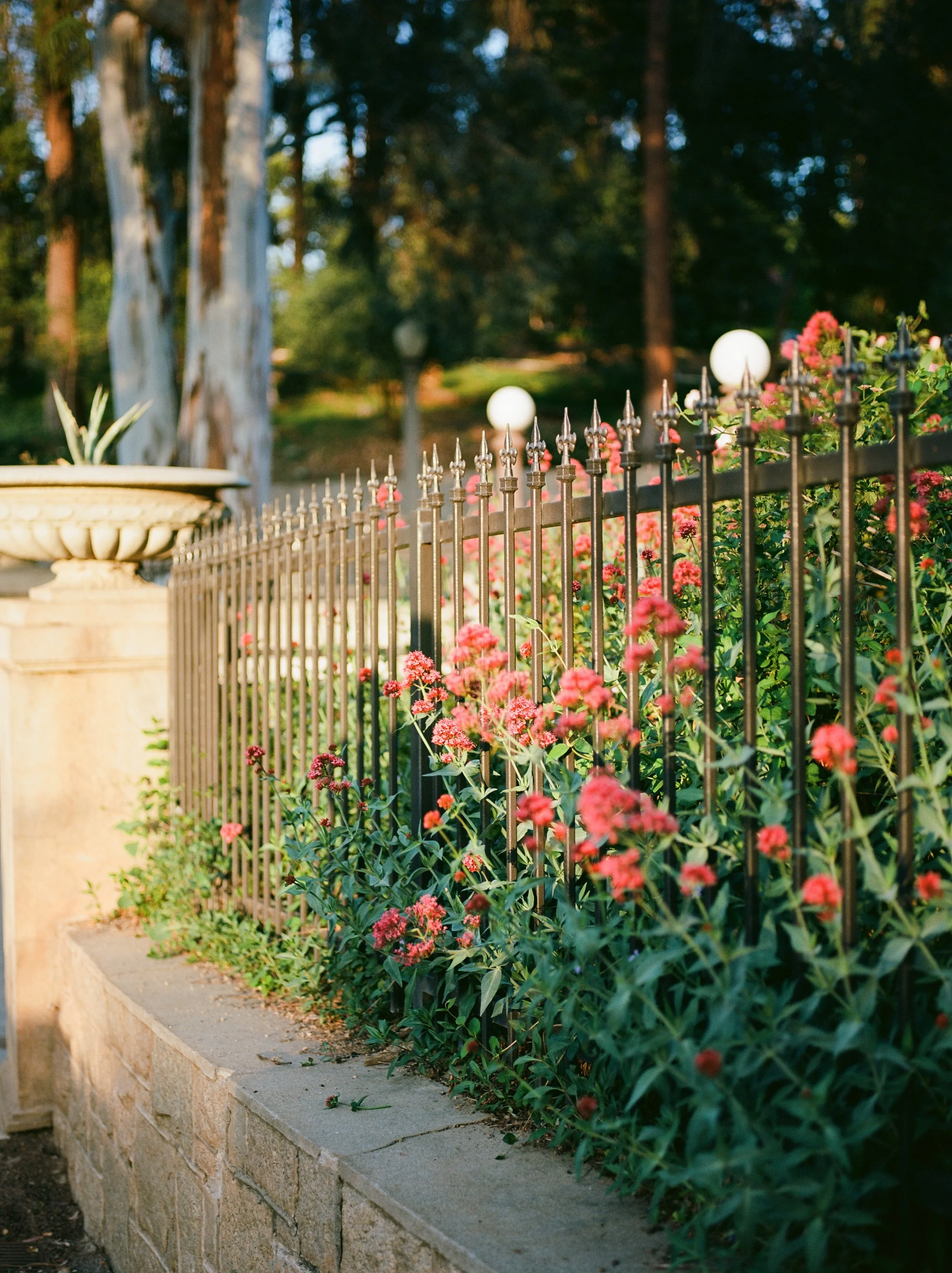 Redlands based family photographer film and super 8