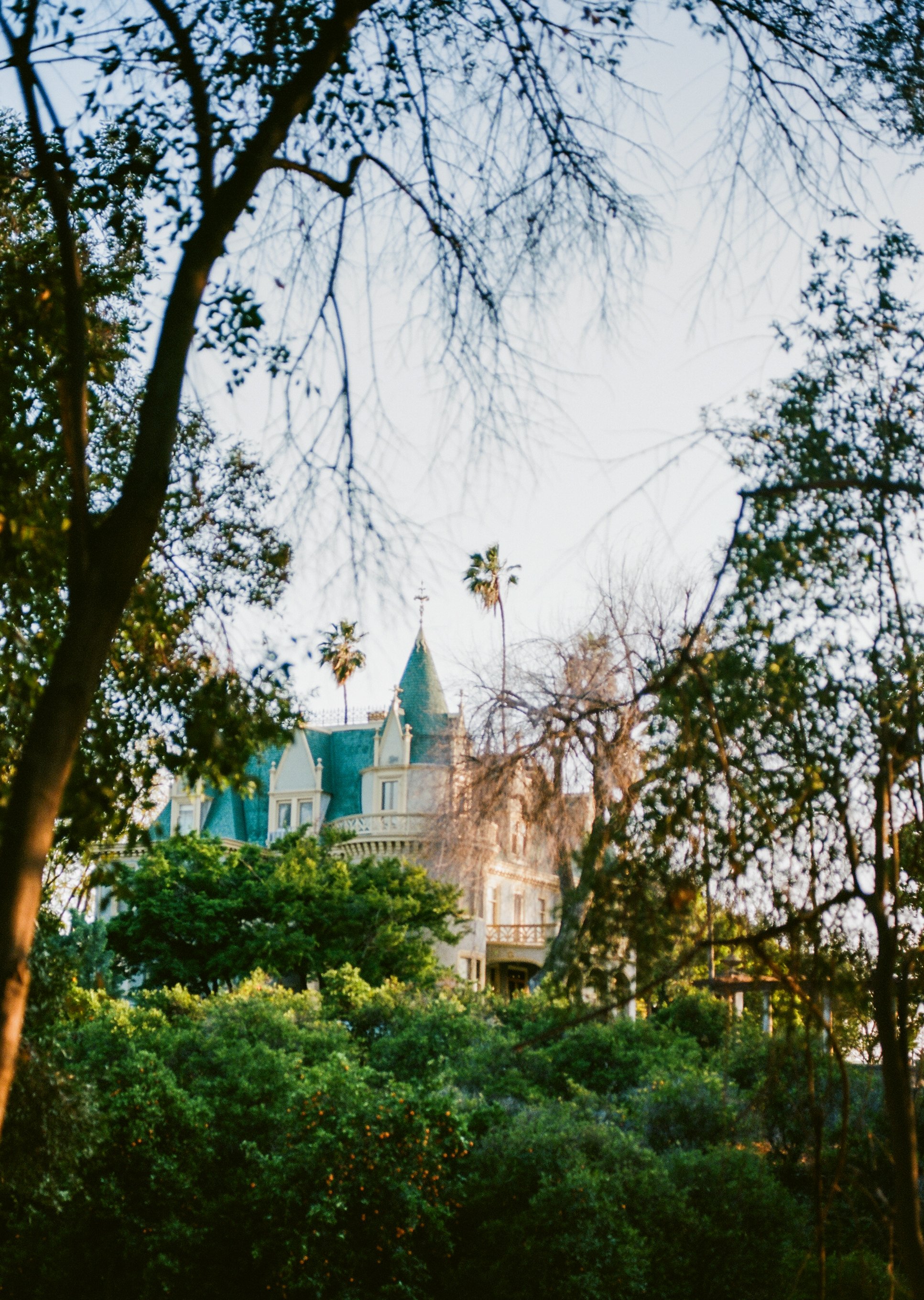 A castle with blue rooftops, surrounded by trees and bushes, viewed through branches and leaves.