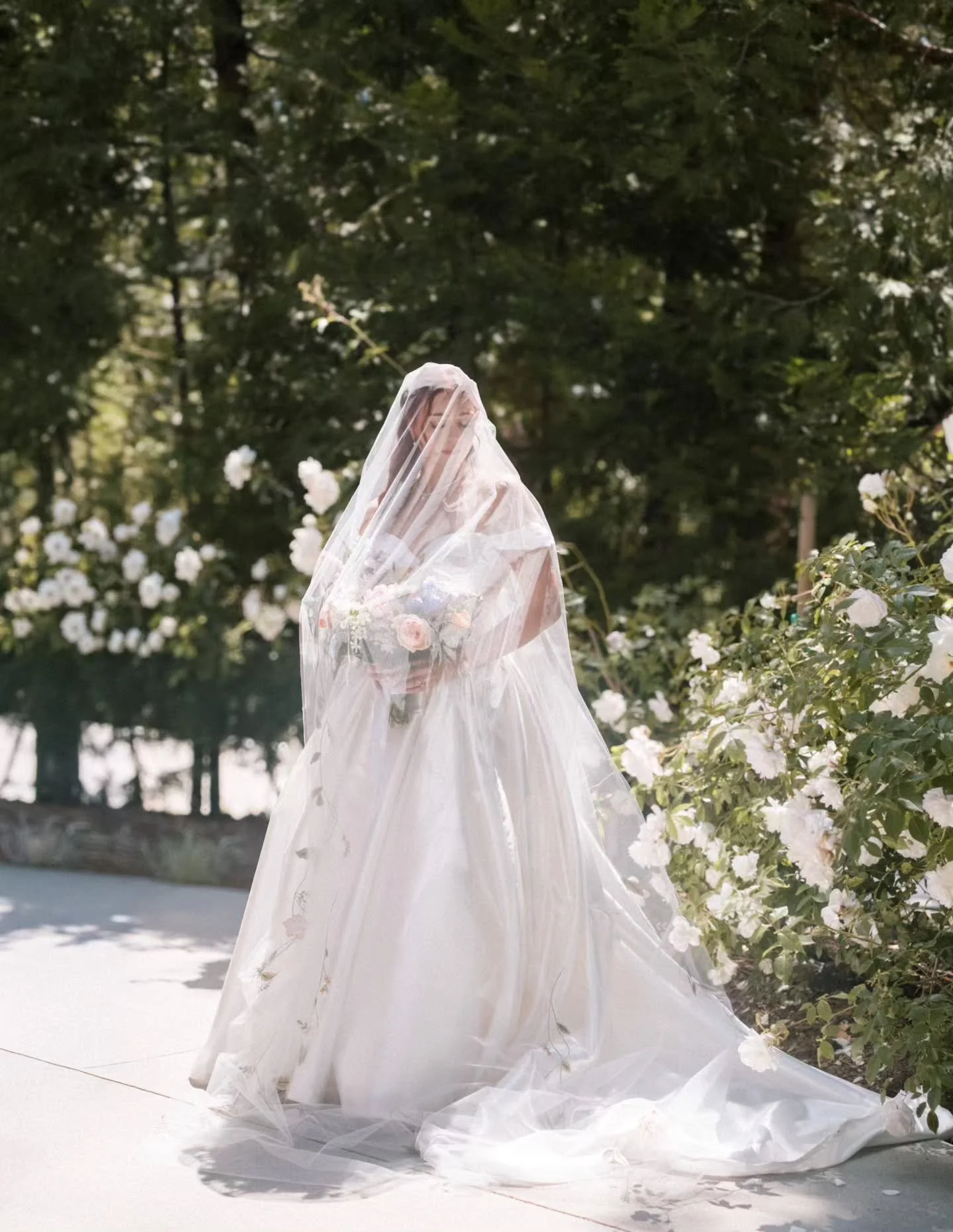 Summer wedding season started strong with Savannah &amp; Tomas. 

The veil floated through the trees, the florals were bursting with color, and every part of the day felt thoughtfully and beautifully them.

What I loved most, though, was how easy it 