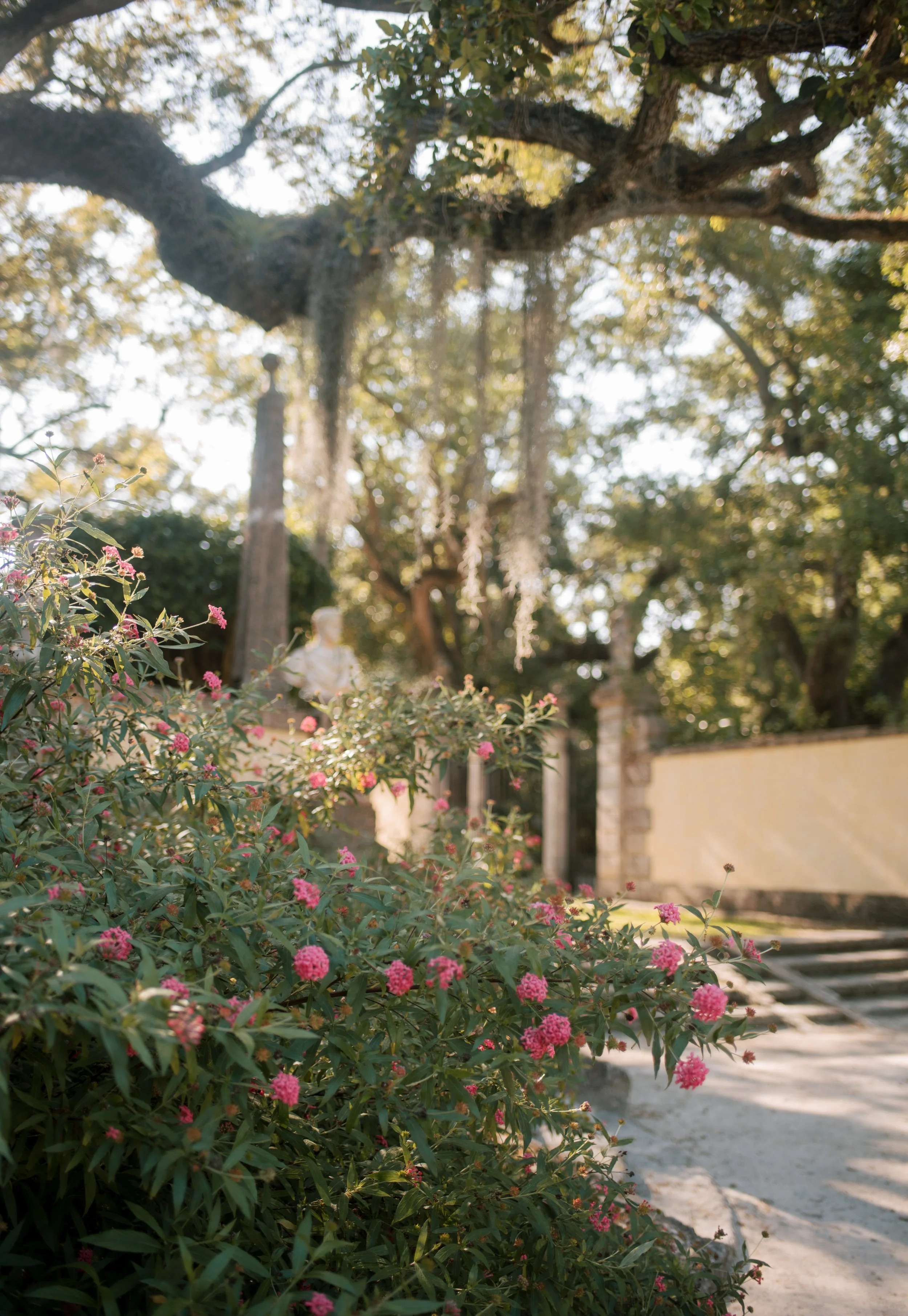 Pink flowers in the foreground, large trees, stone wall with gate, and a pathway in a garden during daytime.