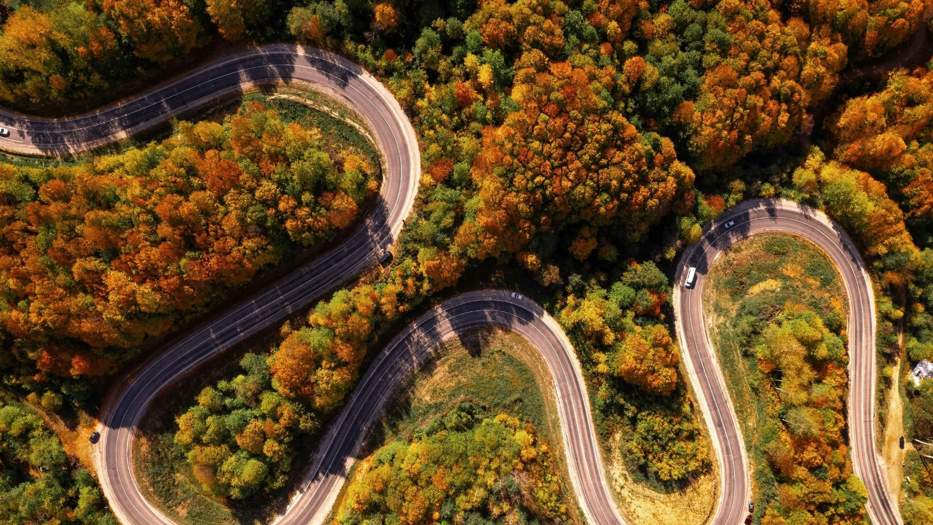 Luftaufnahme einer kurvigen Straße, die durch einen Wald mit buntem Herbstlaub führt.