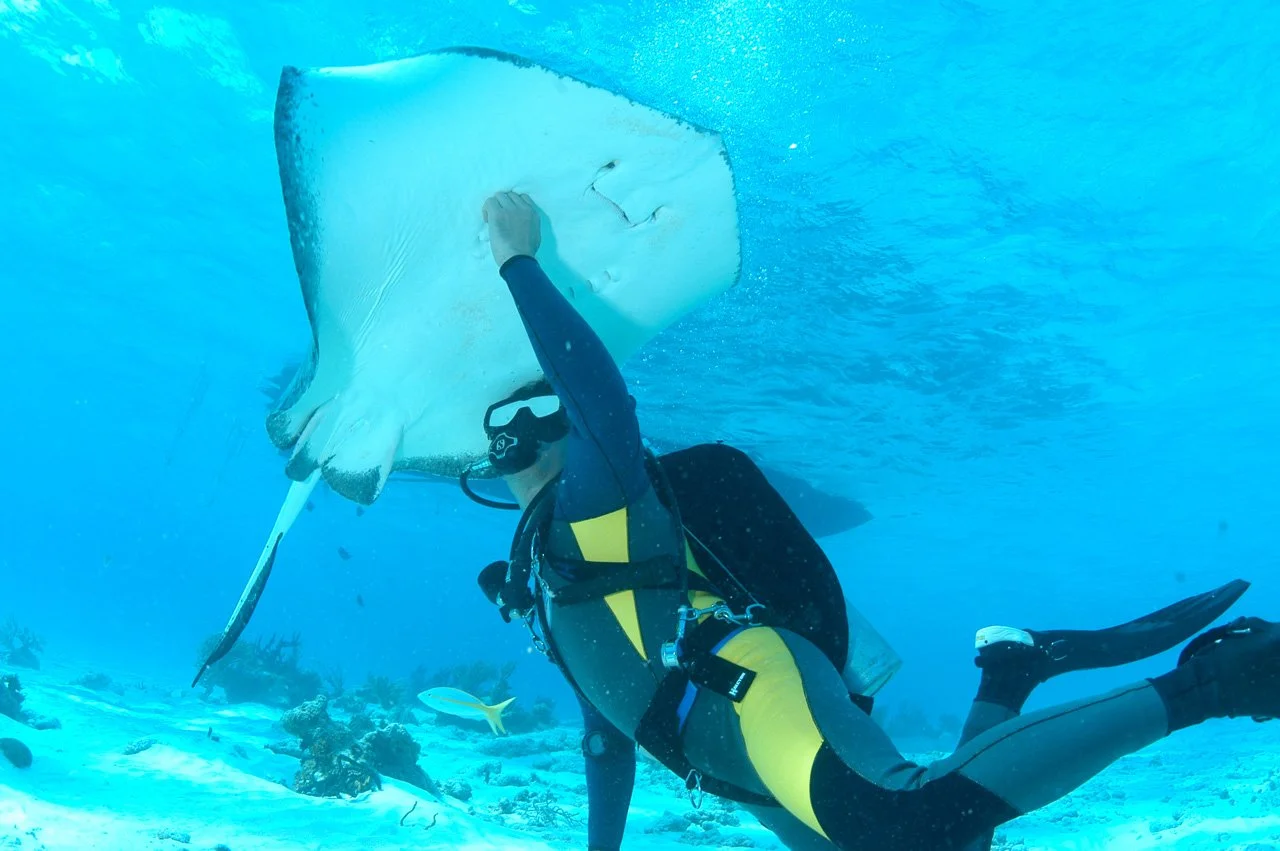 1990s Bahamas_Jarrod Stingray.jpg