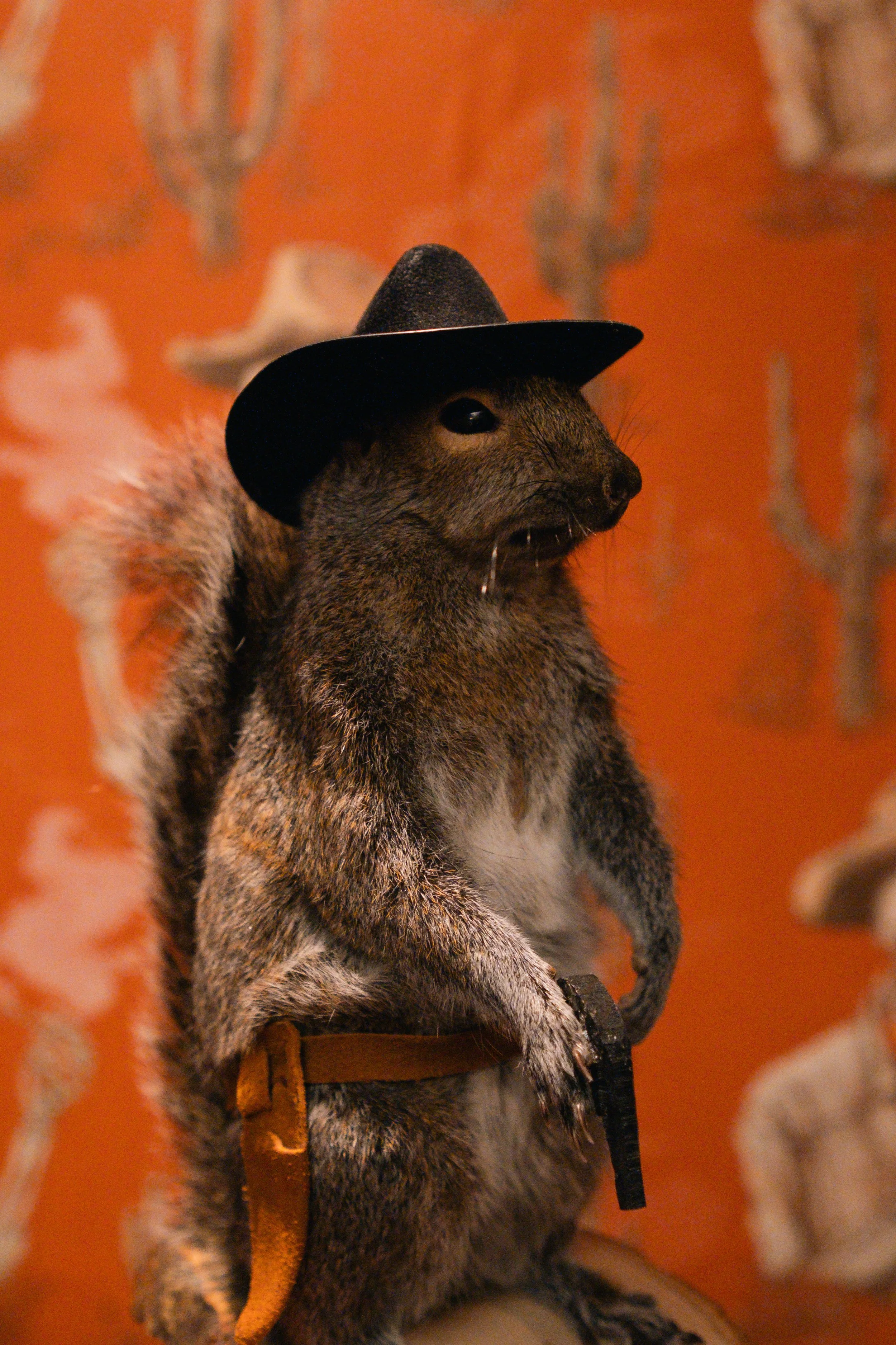 A squirrel wearing a small black hat and holding a miniature guitar, sitting on a surface against a textured orange background with blurry patterns.