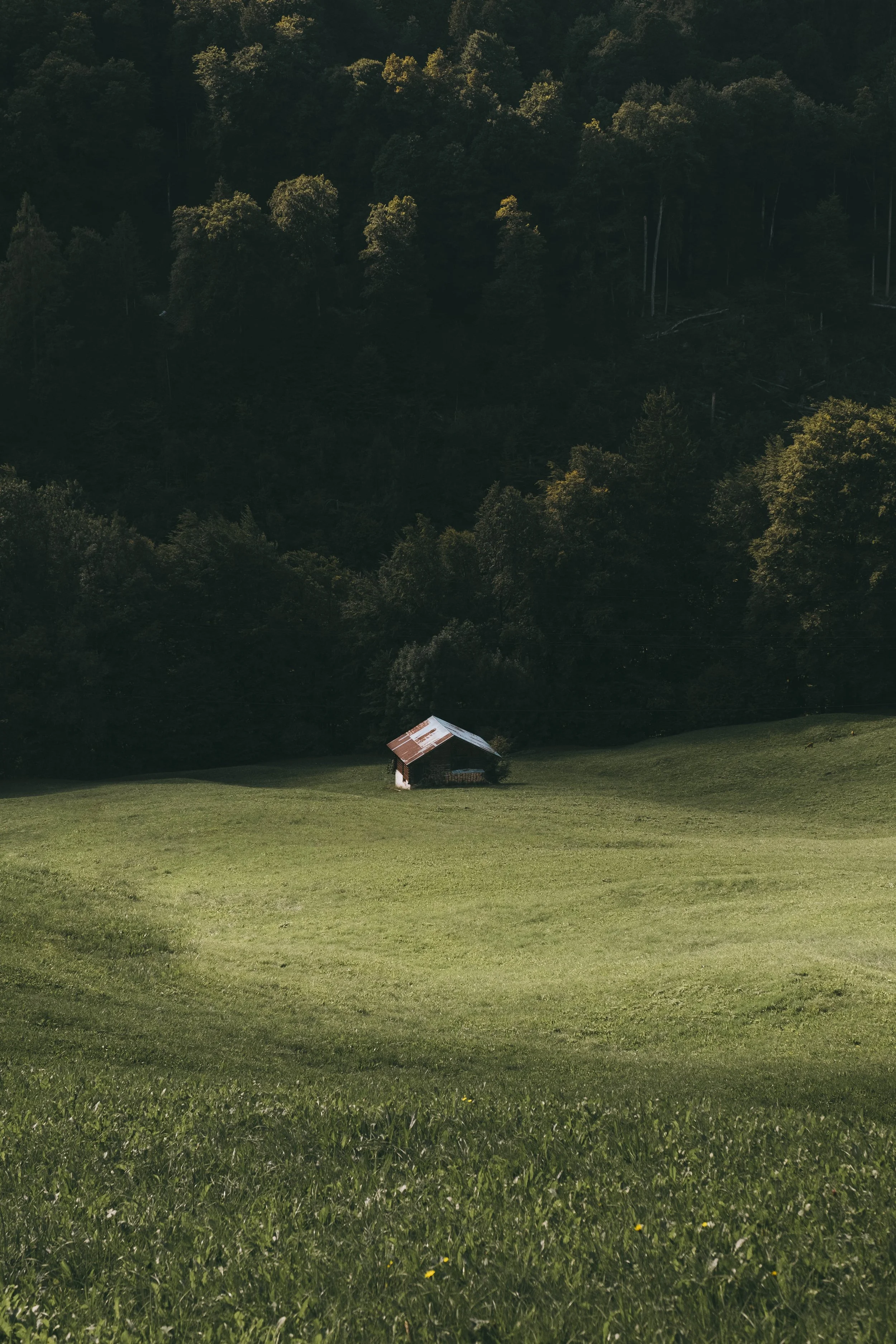 A small, rustic barn with a rusted metal roof nestled in a lush green field, surrounded by dense forested hills in the background.
