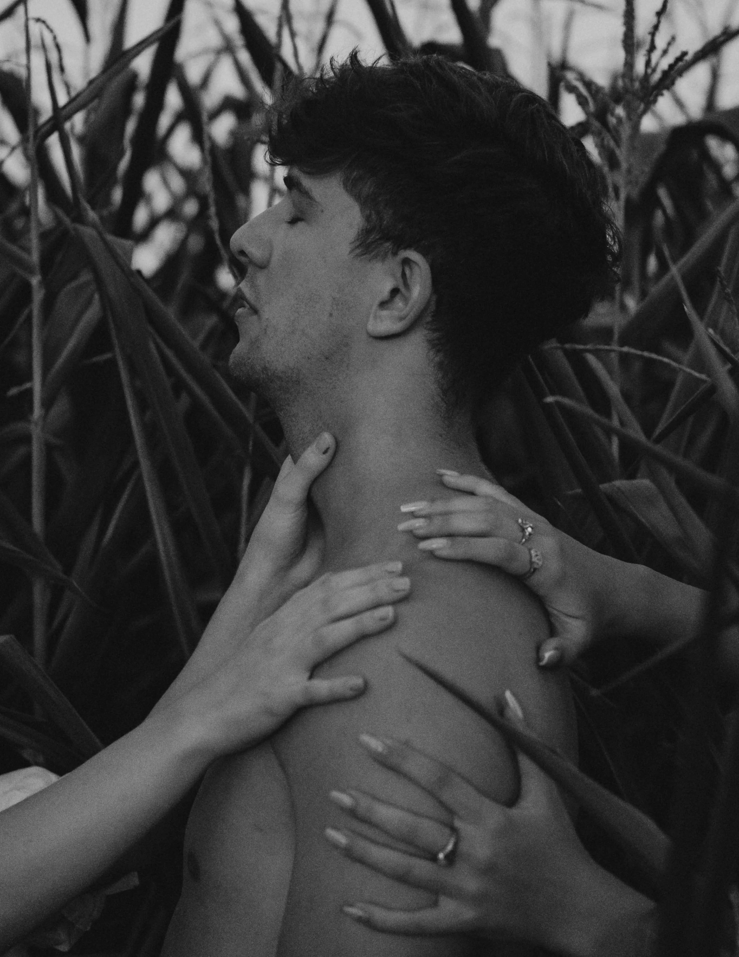 Black and white photo of a young man with closed eyes, surrounded by hands gently touching his neck and shoulder, set against a background of tall grass or plants.