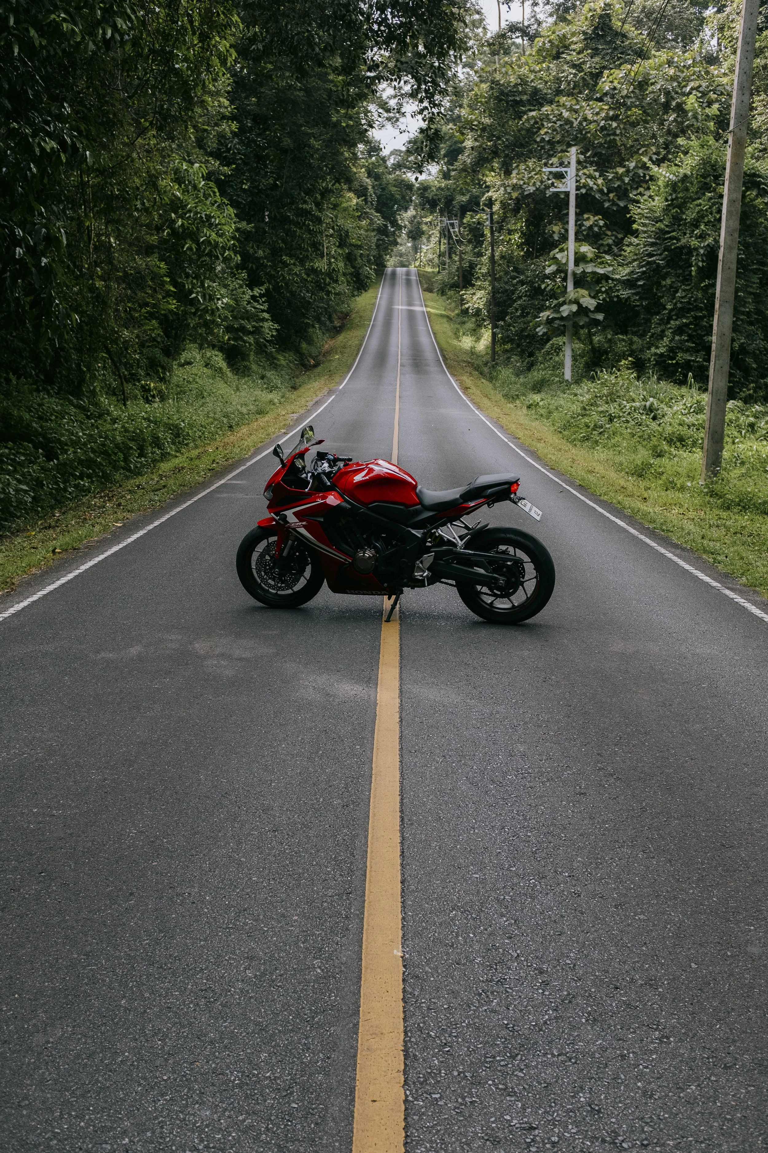 A red and black motorcycle is parked across the middle of a two-lane road, blocking traffic. The road is surrounded by lush green trees on both sides.
