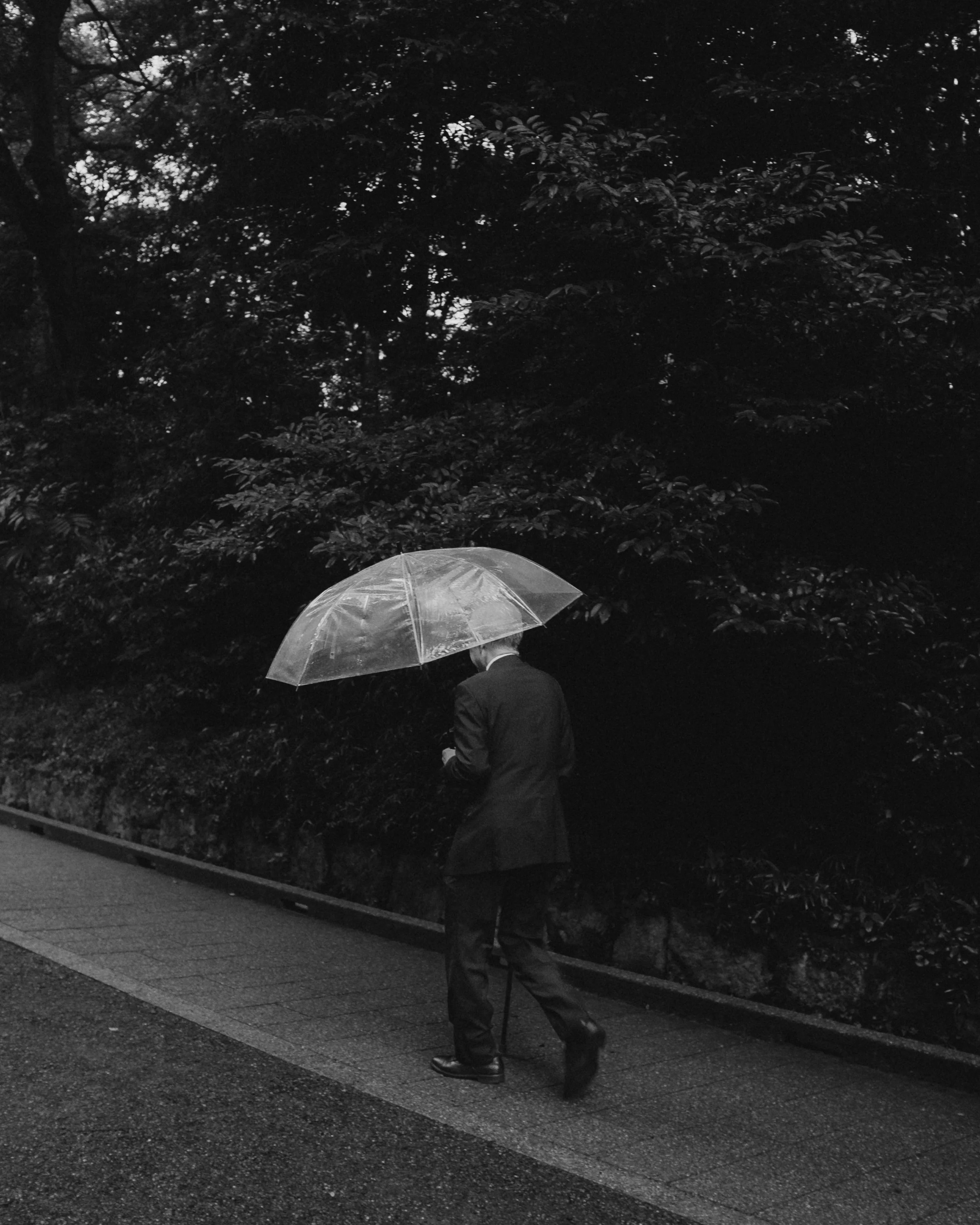 A man in a suit walking along a sidewalk holding an umbrella, with trees and foliage in the background, in black and white.