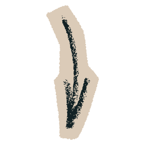 A black and white line drawing of a vulva, showing the labia majora, labia minora, clitoris, and vaginal opening.