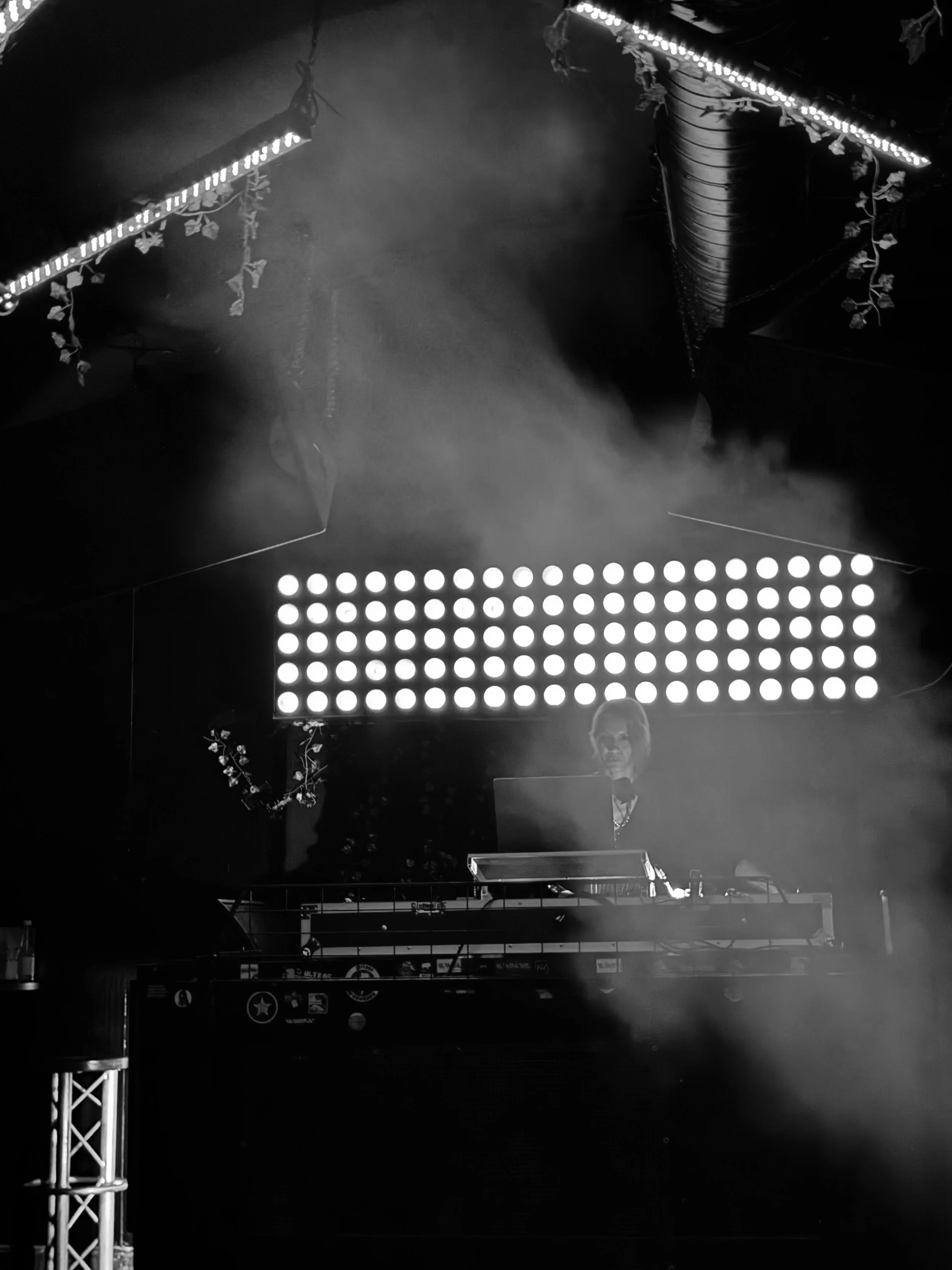 Nina Velvet Event DJ on stage with bright LED panel and fog, couple of hanging lights and plants in the background, in a dark setting.