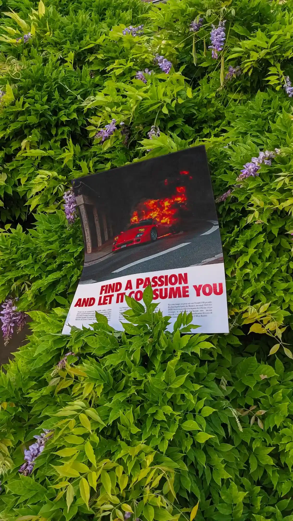 Find a passion and let It consume you - poster