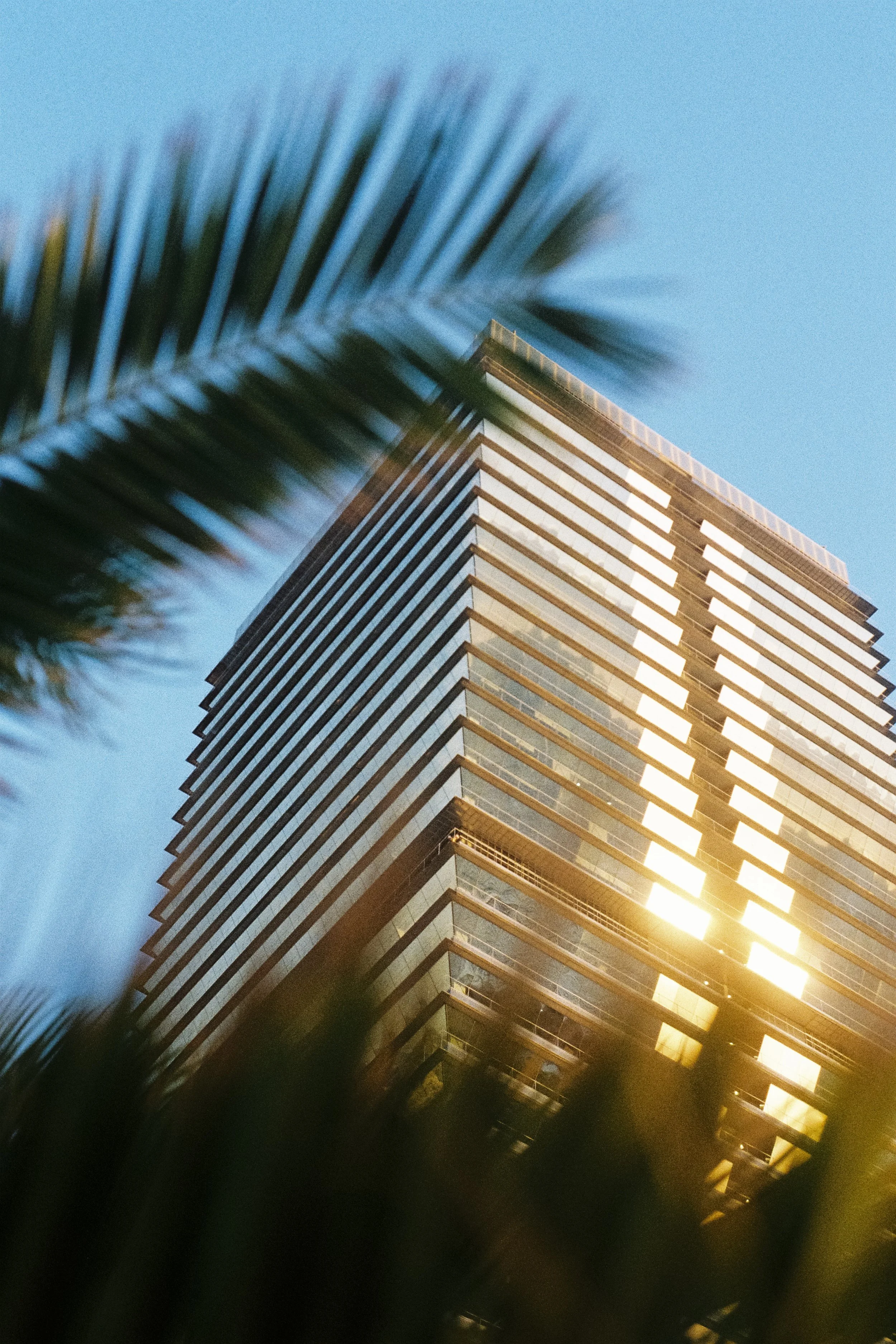 Photo d'un gratte-ciel pris de bas, avec un palmier flou au premier plan, sous un ciel bleu clair. Photographie à-argentique aussi, réalisé à Barcelone non loin de la plage. Simple reposant décor, magnifique soleil golden hour.