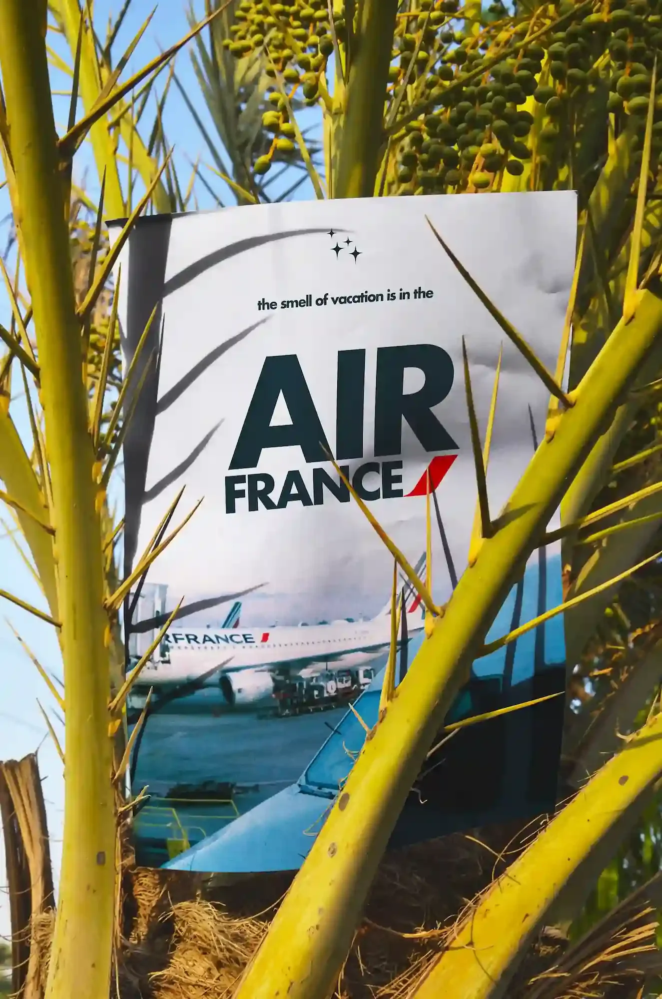 vacation is in the Air France