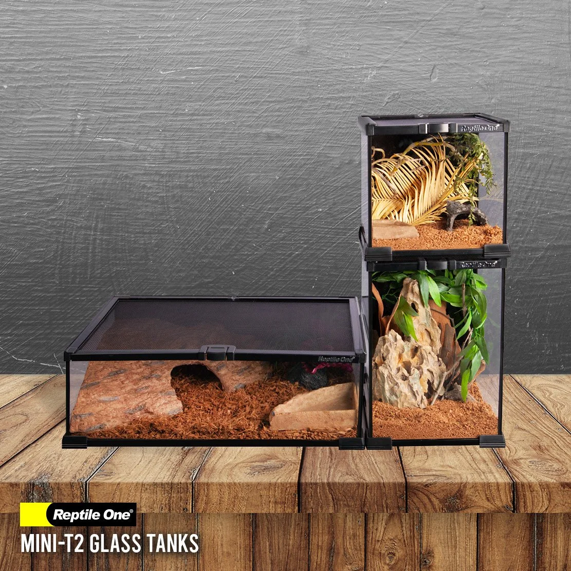 Reptile One Mini-T2 Glass Tanks 5.jpg
