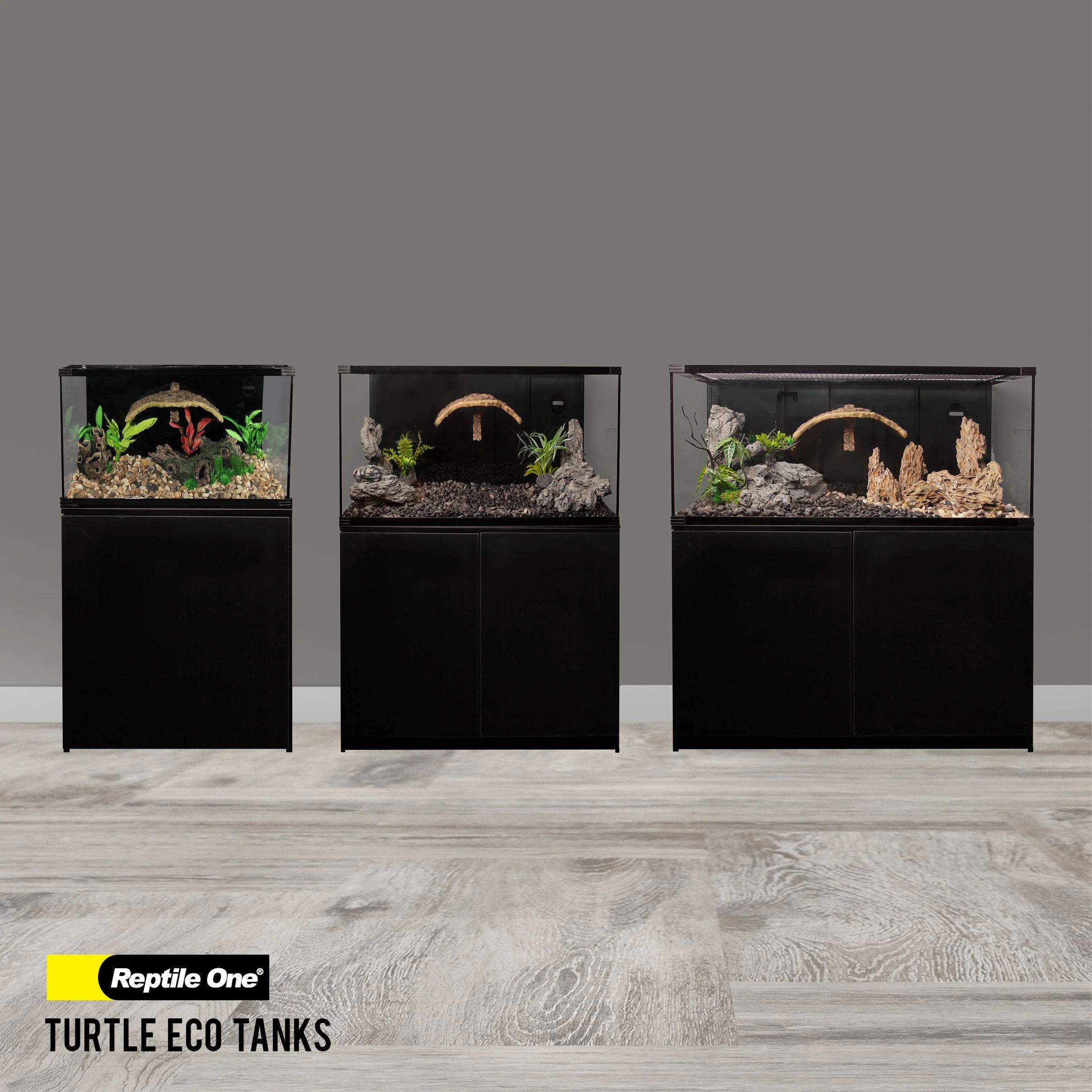 Three turtle eco tanks displayed on black stands against a light gray wall, each with different interior decorations and plants, labeled 'Reptile One Turtle Eco Tanks'.