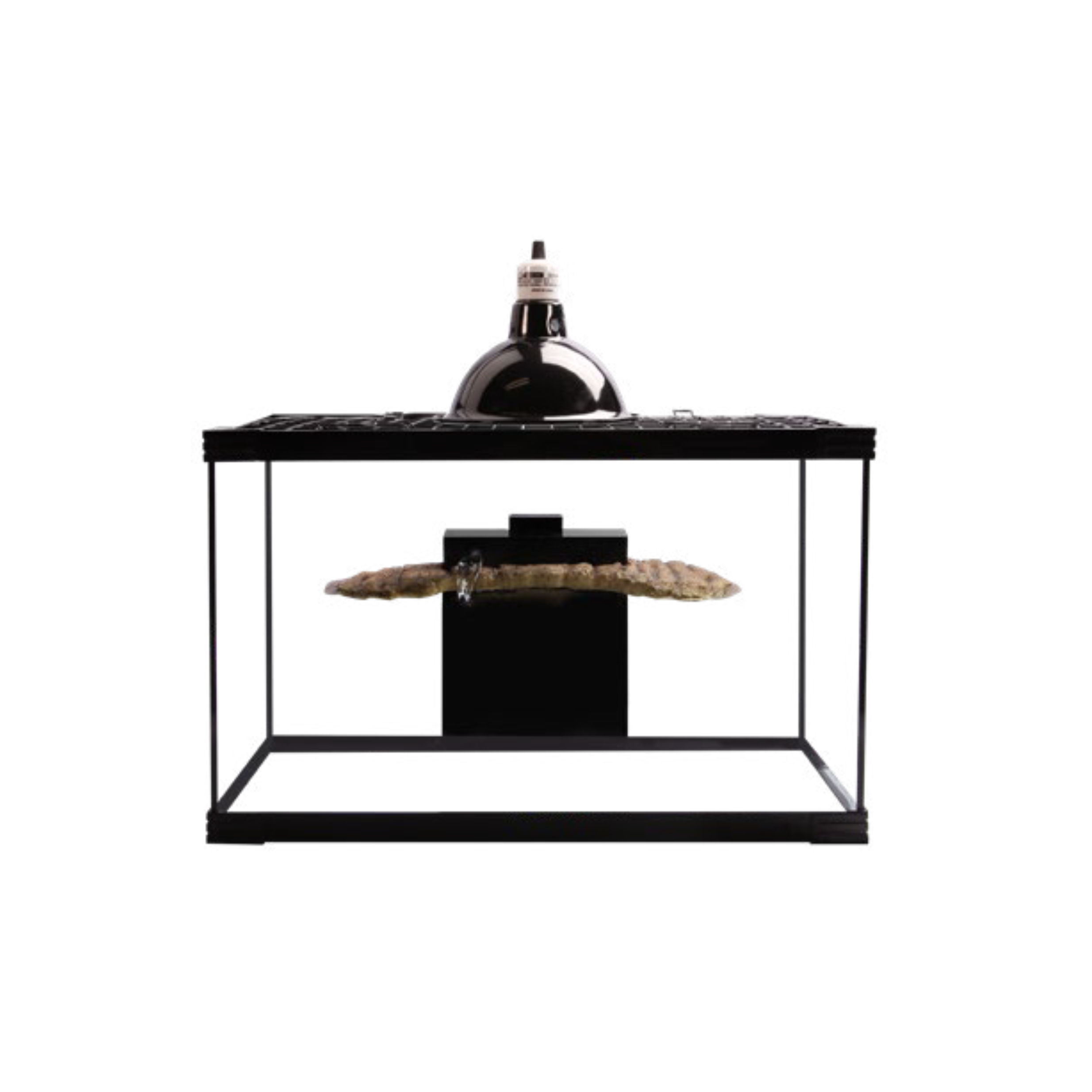 Reptile One Turtle Nursery Starter Kit 60x30x37cm (Black)