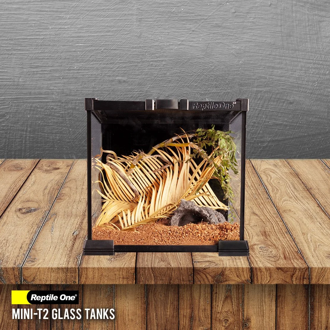 Reptile One Mini T2.jpg