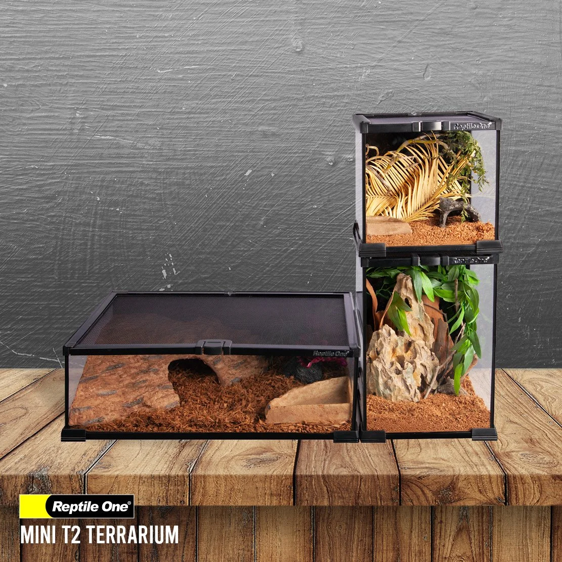 Aqua One _Mini T2 2685.jpg