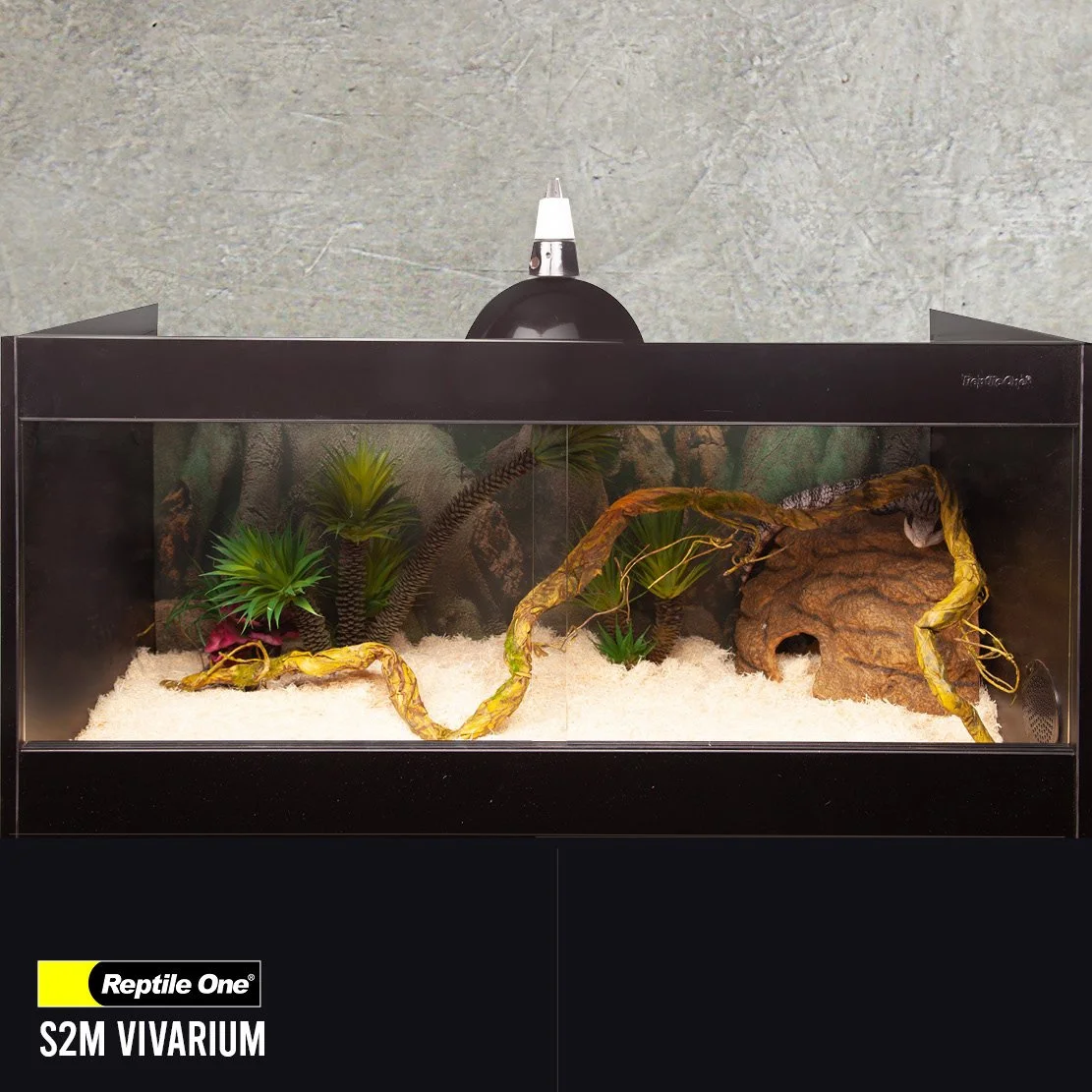 Reptile One S2M Vivarium.jpg