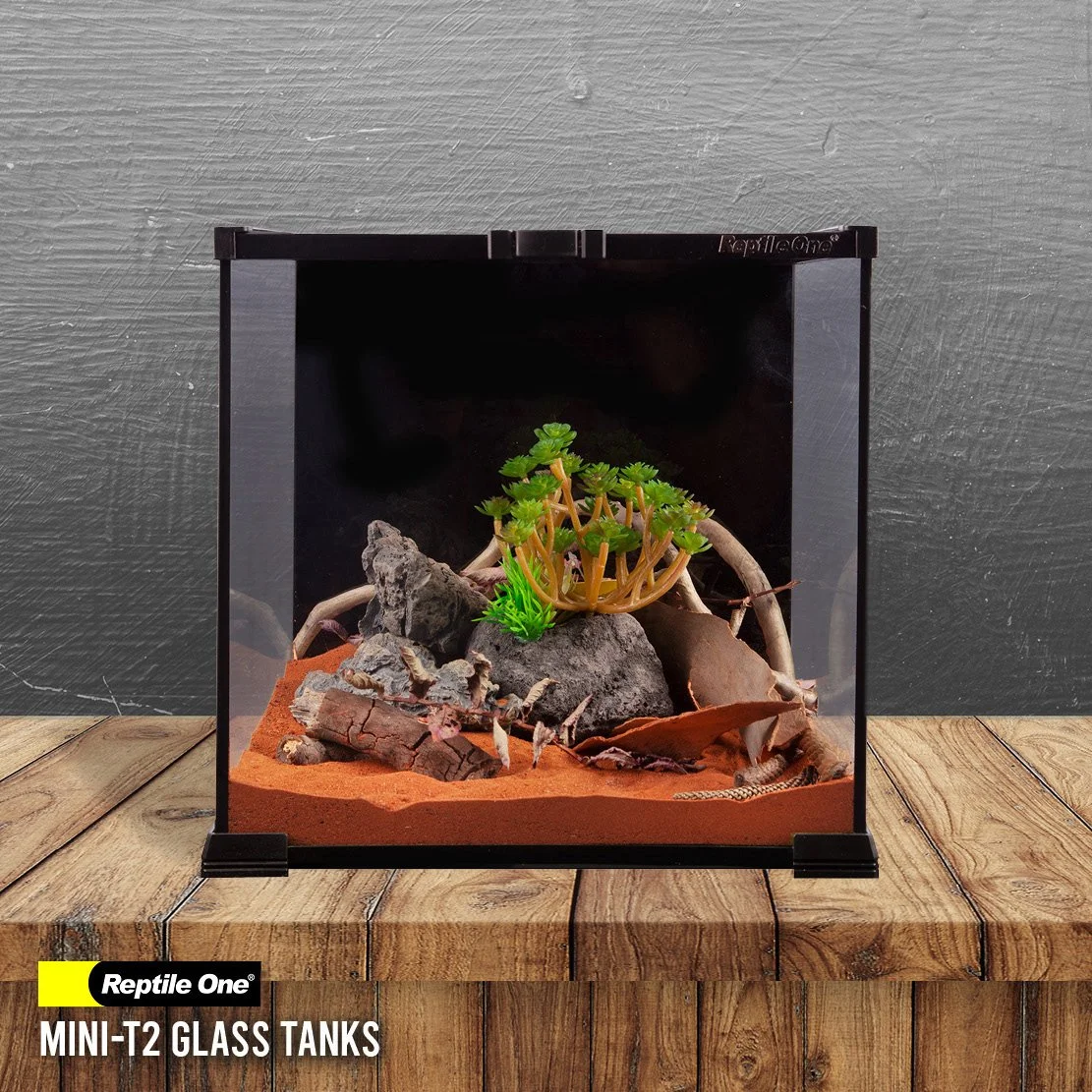 Reptile One Mini-T2 Glass Tanks 3.jpg