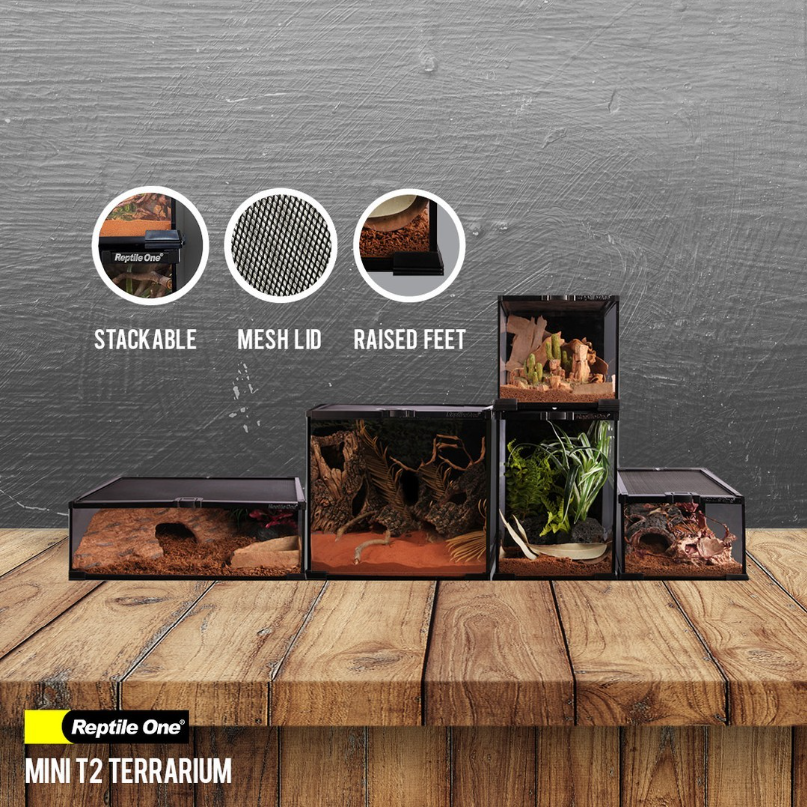 A set of five miniature terrariums arranged on a wooden surface, featuring different terrain and plant setups, with diagrams showing stackable, mesh lid, and raised feet features.