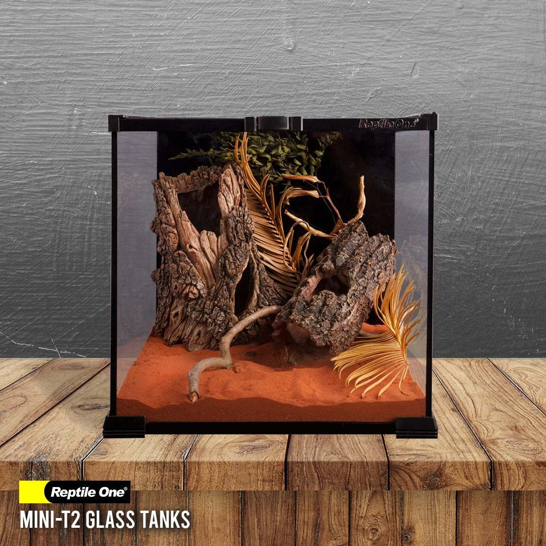 Reptile One Mini-T2 Glass Tanks 4.jpg