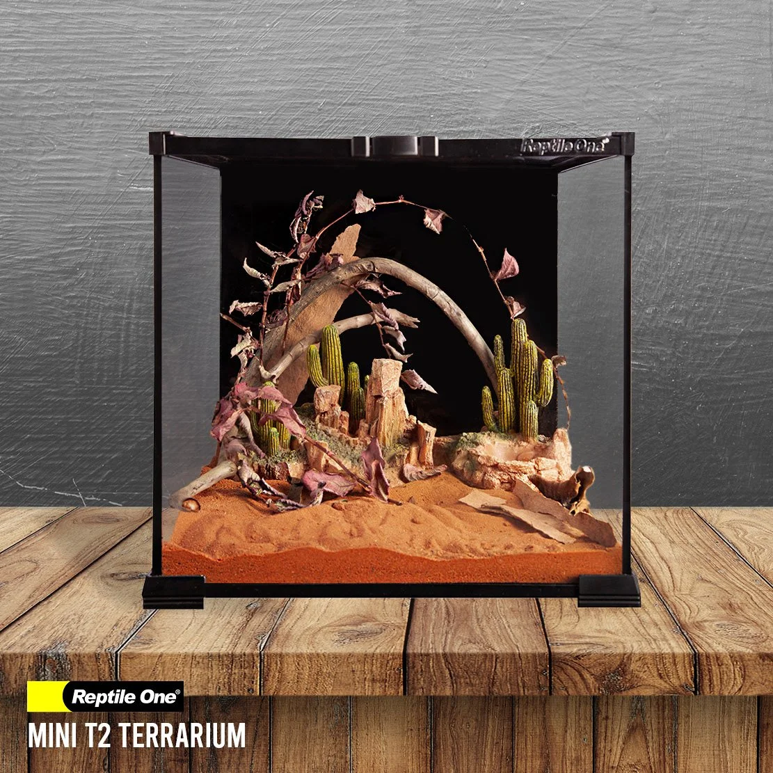 Aqua One _Mini T2 2707.jpg