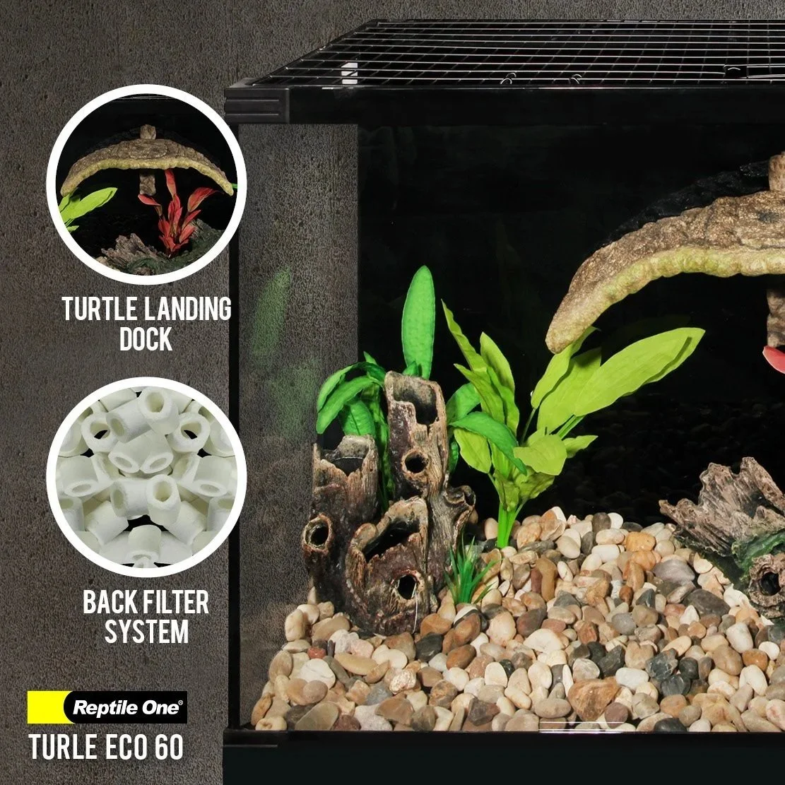 Reptile+One+Turtle+Eco+60+close+1.jpg