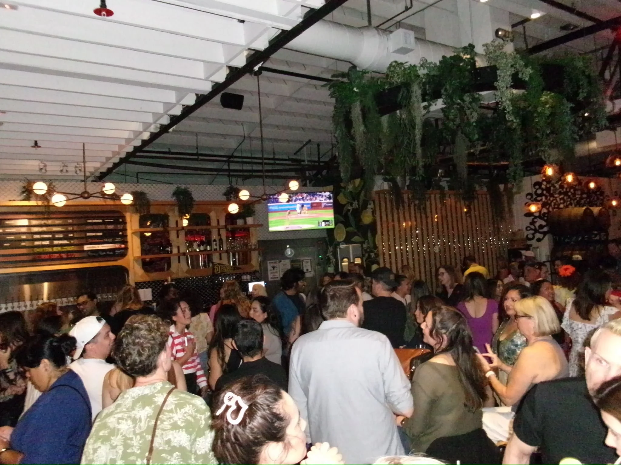 WhatsApp Image 2025-12-01 at 17.01.36 (3).jpeg