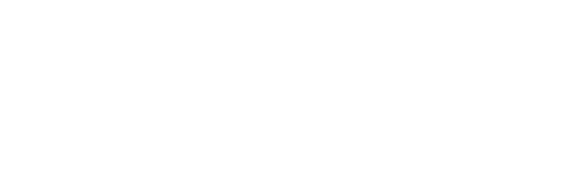 Wahlfysio