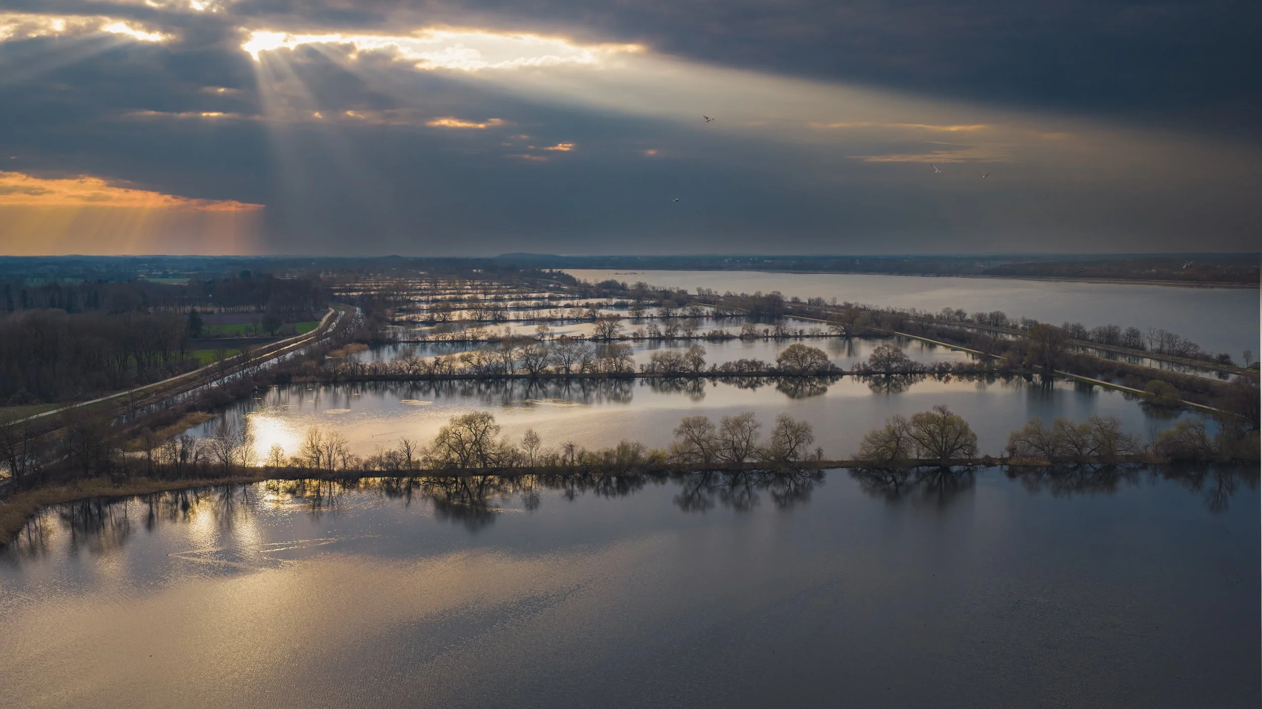 Flying free under the sun