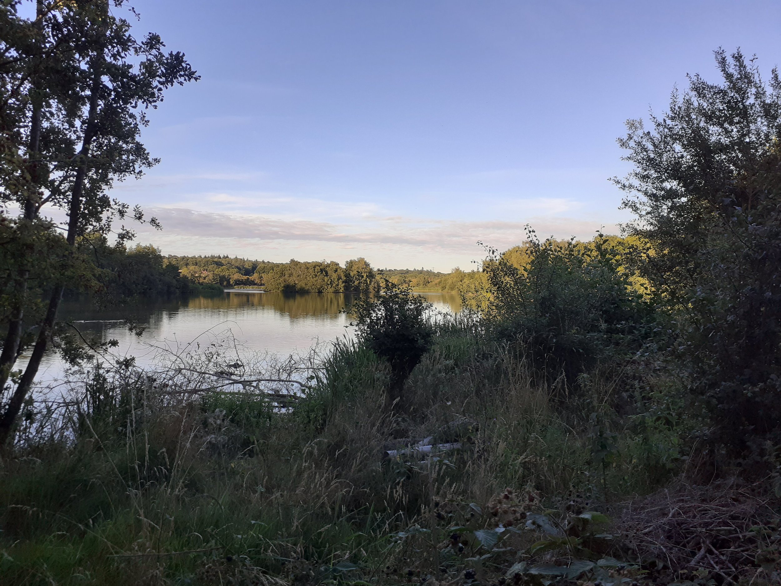 A peaceful river scene with calm water reflecting the sky and surrounding trees, with bushes and grass along the bank.
