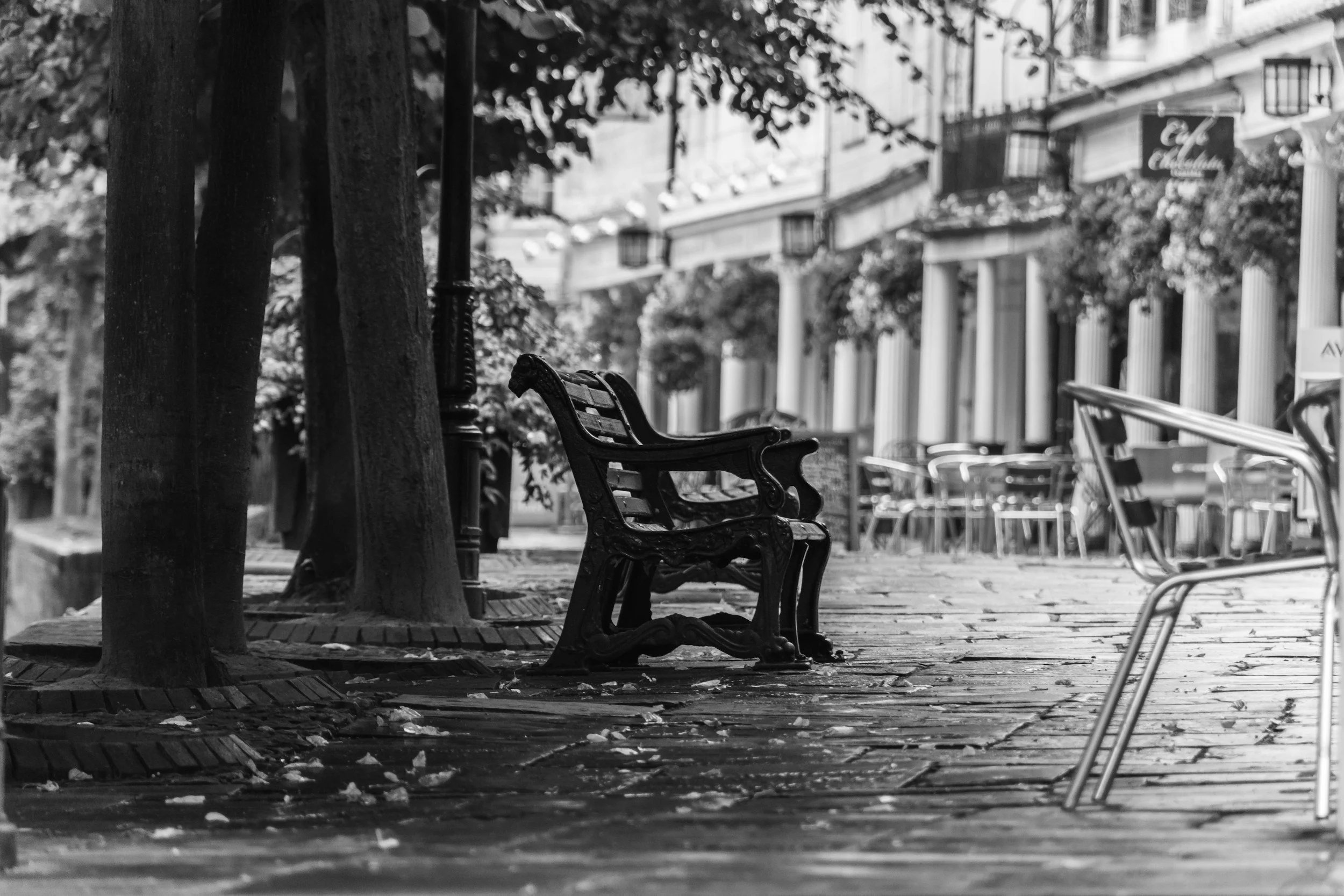 Empty park bench on a sidewalk lined with trees and outdoor café tables in the background in black and white.