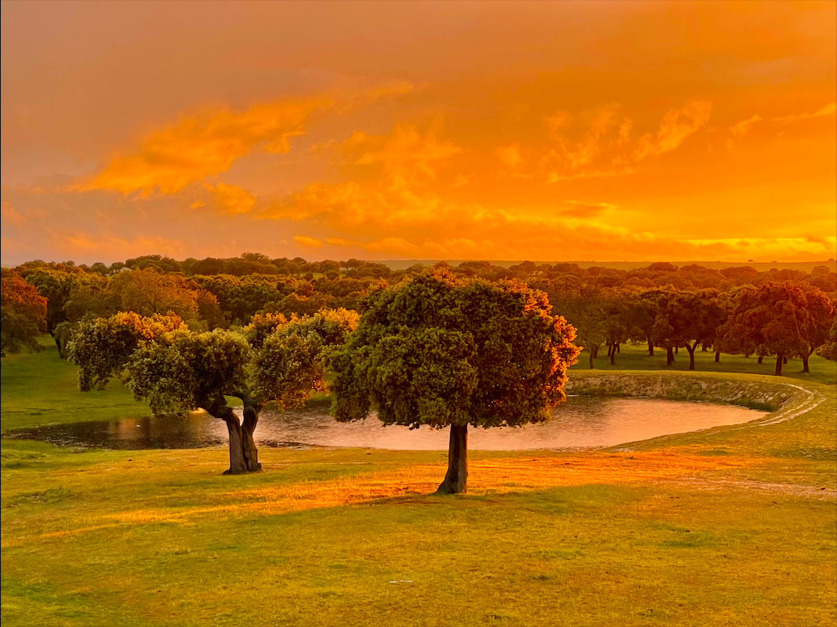 Screenshot 2026-01-27 at 16.58.17.png